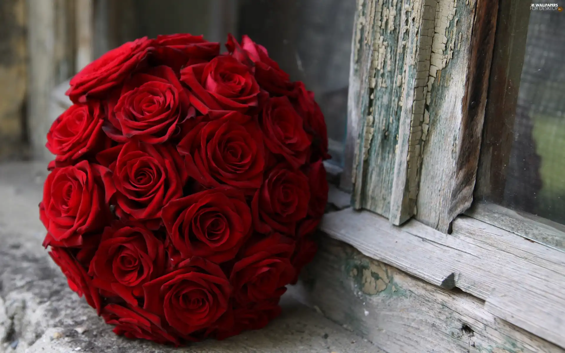 bouquet, red, rouge, Orb