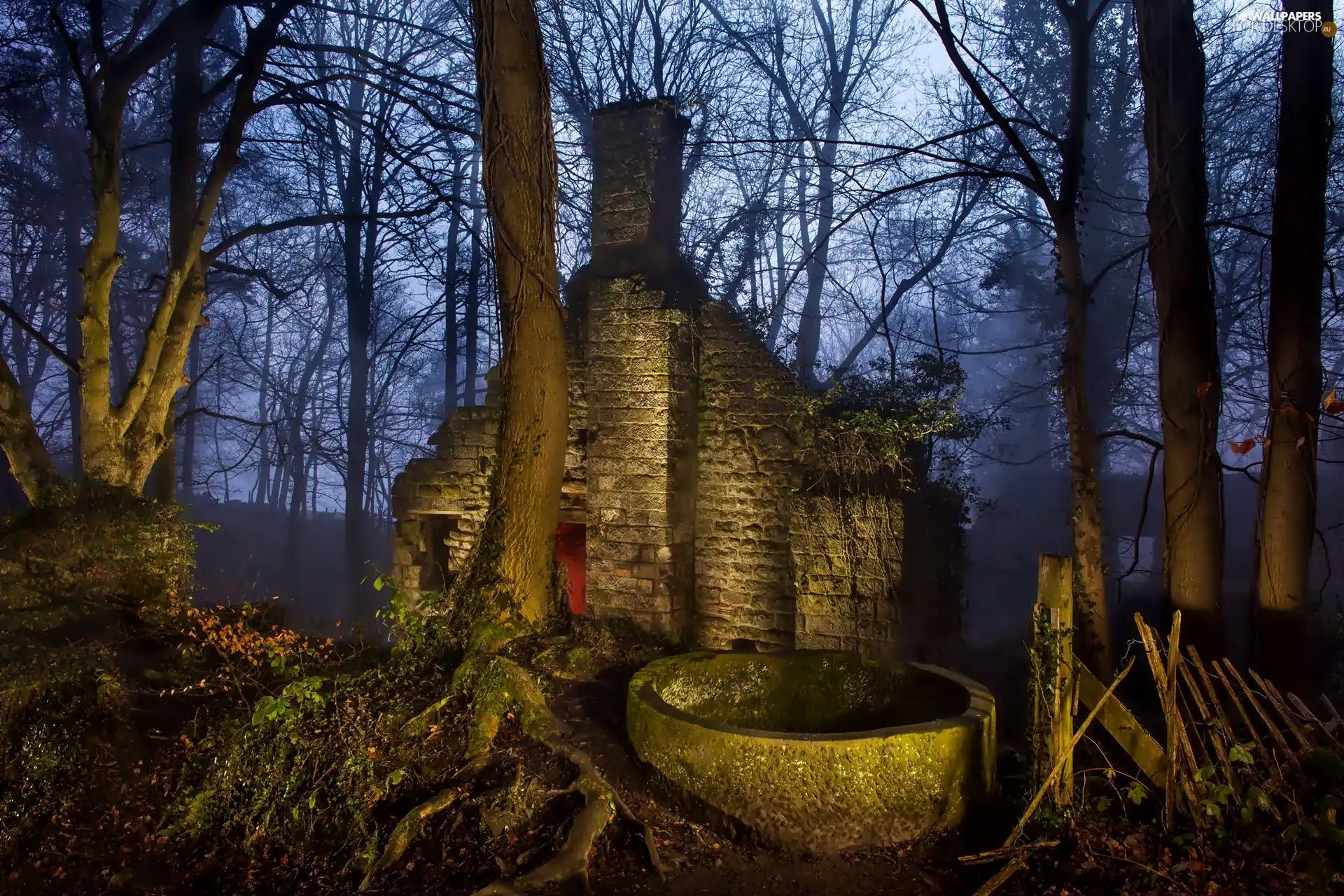 ruin, building, Night, Fog, forest