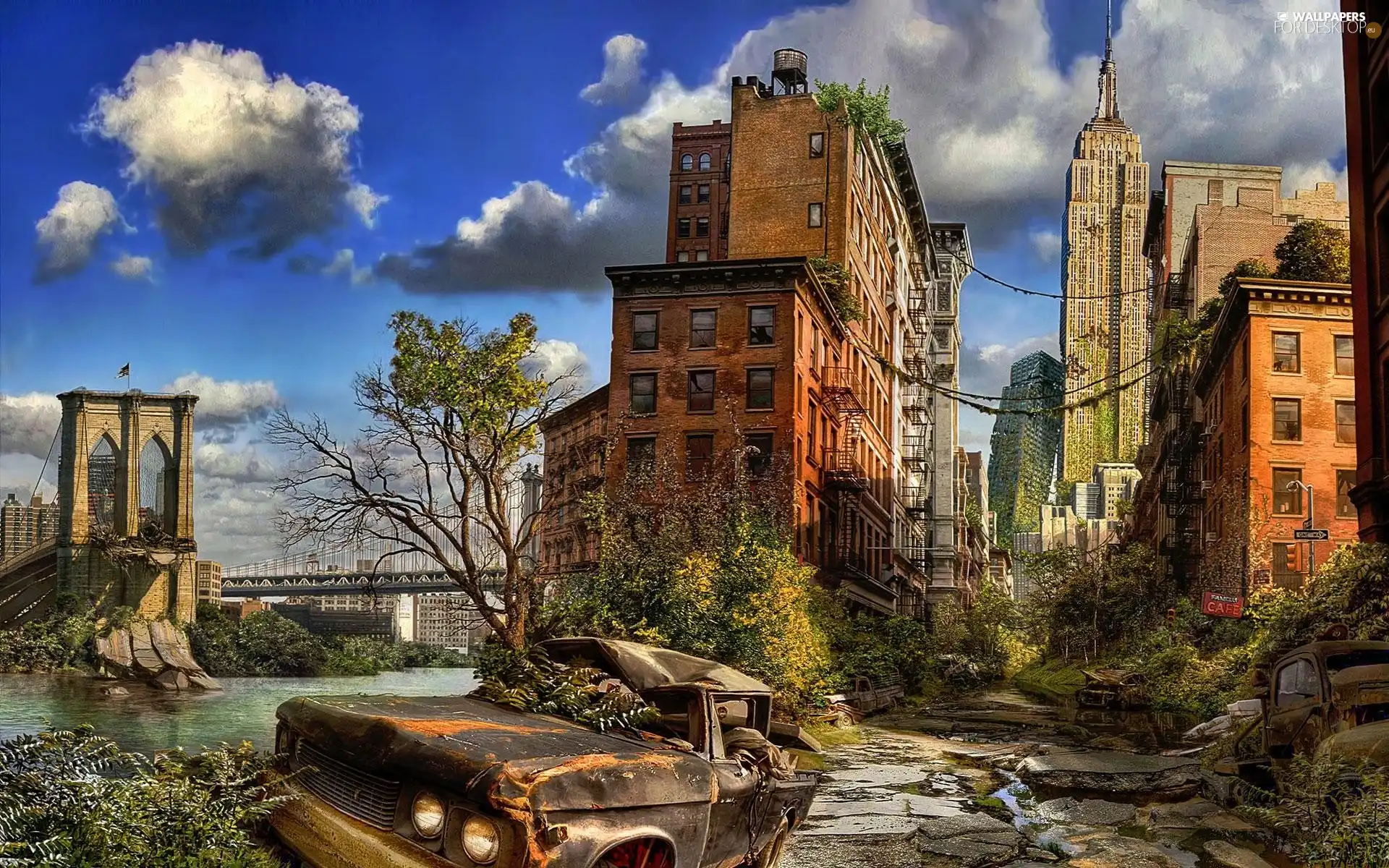 New York, Automobile, ruins, damaged