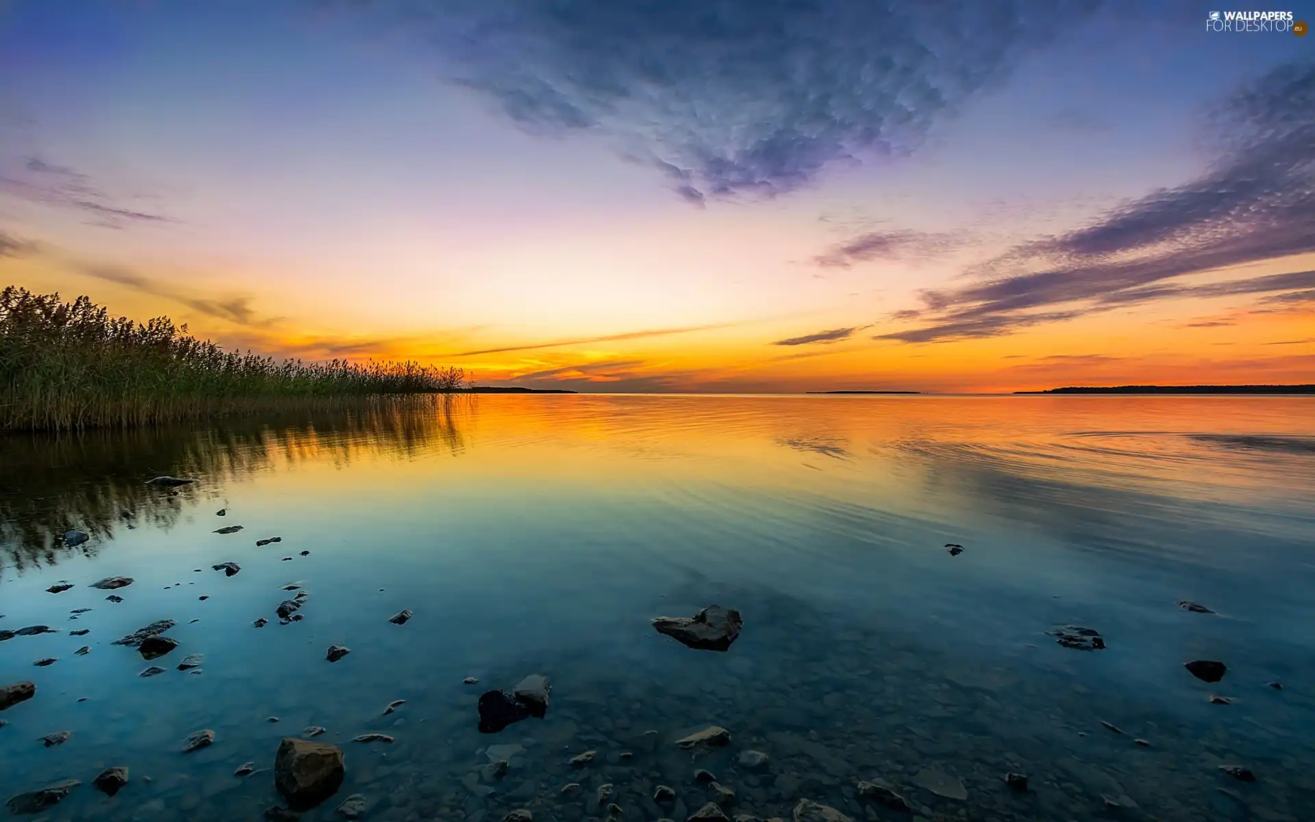 Great Sunsets, lake, rushes