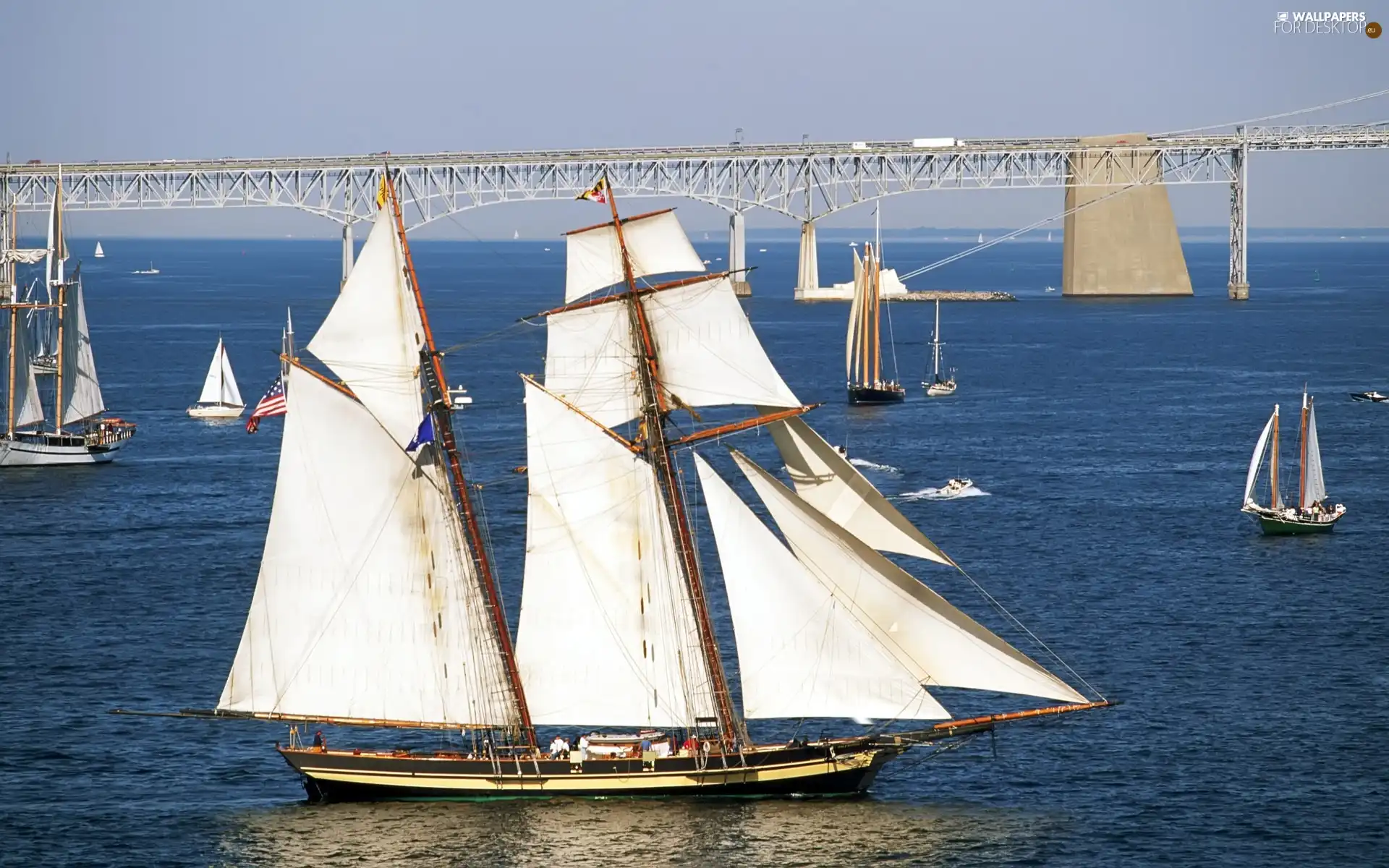 sailing, sea, regatta