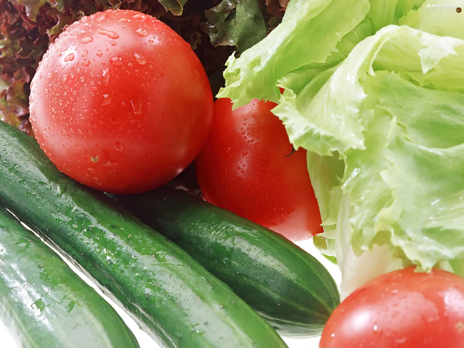 tomatoes, leaves, salads, cucumbers