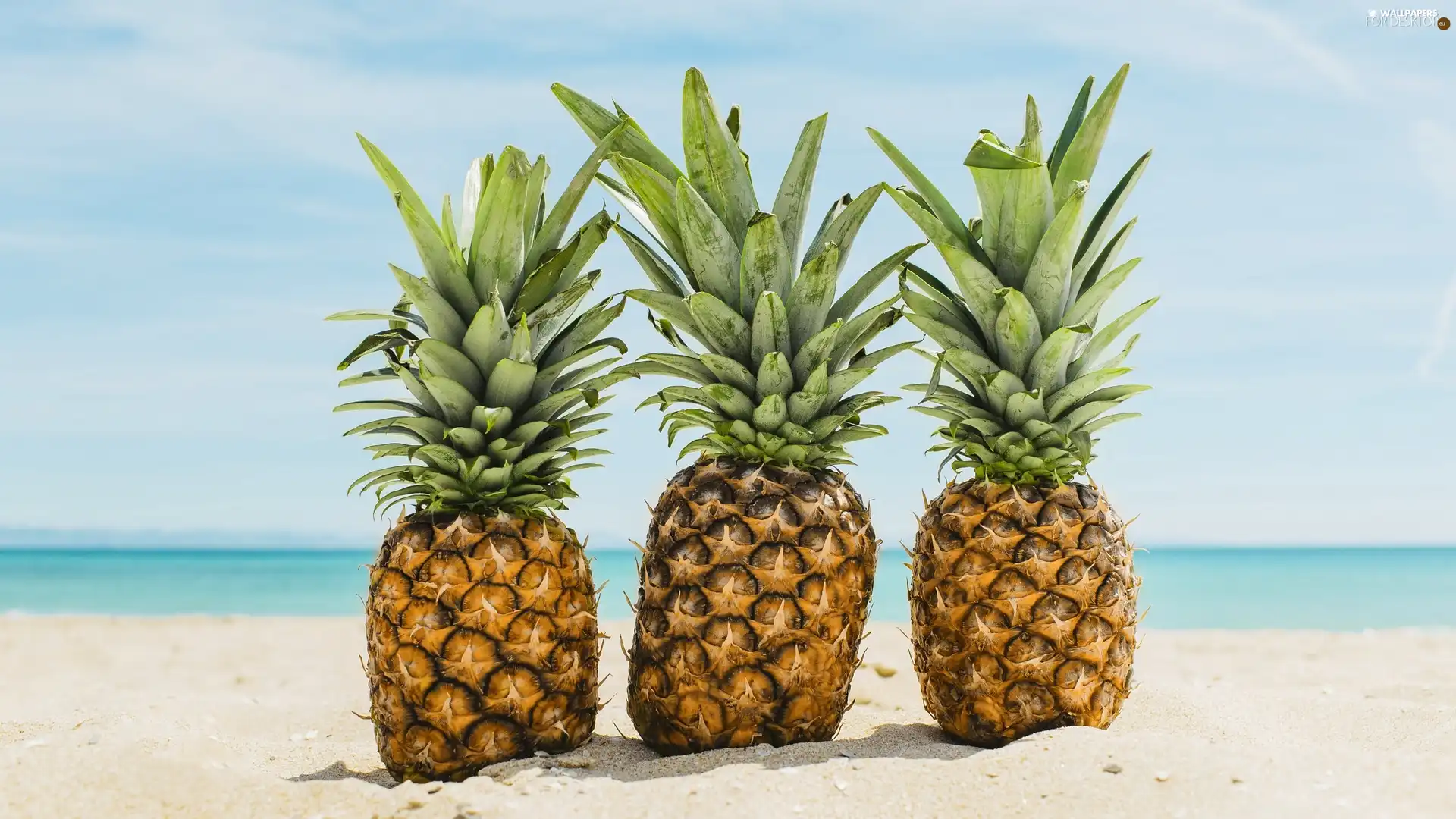 Sand, Three, Pineapples - For desktop wallpapers: 2560x1440