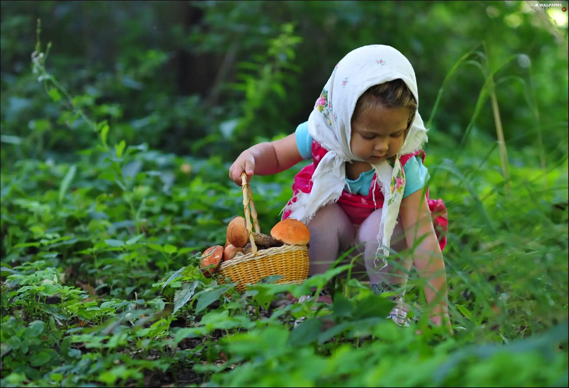 girl, Mushrooming, scarf, forest