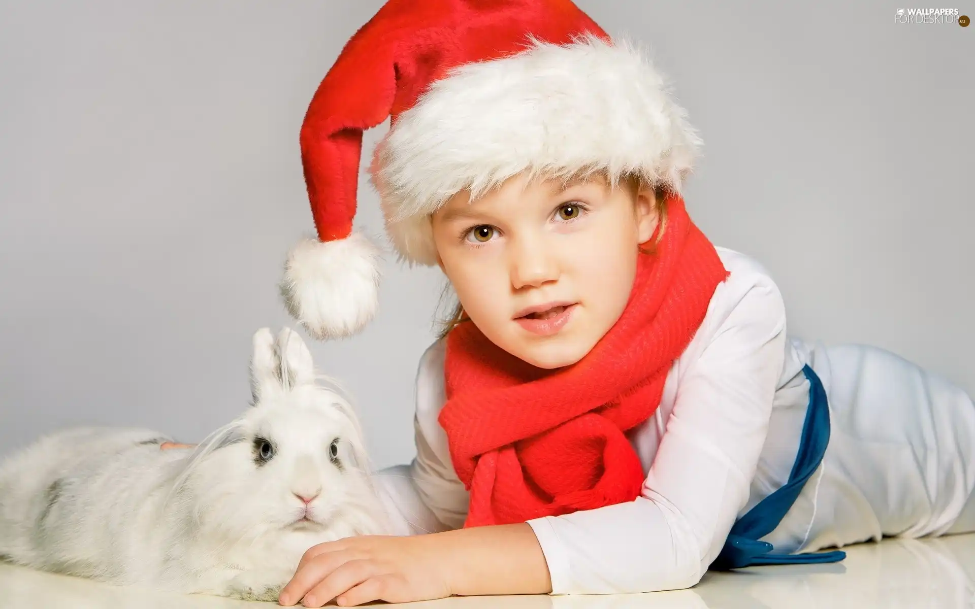 Scarf, Rabbit, red hot, Hat, Kid