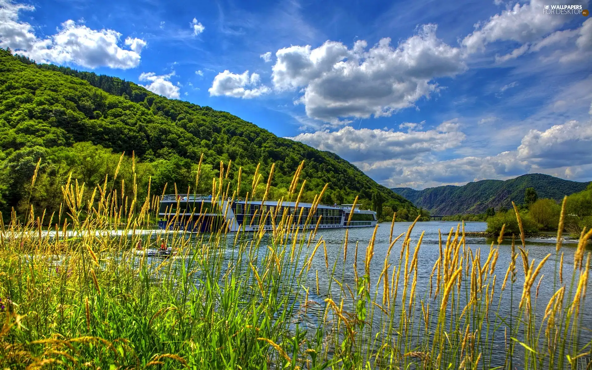 scrub, summer, River, Cruise Ship, Mountains