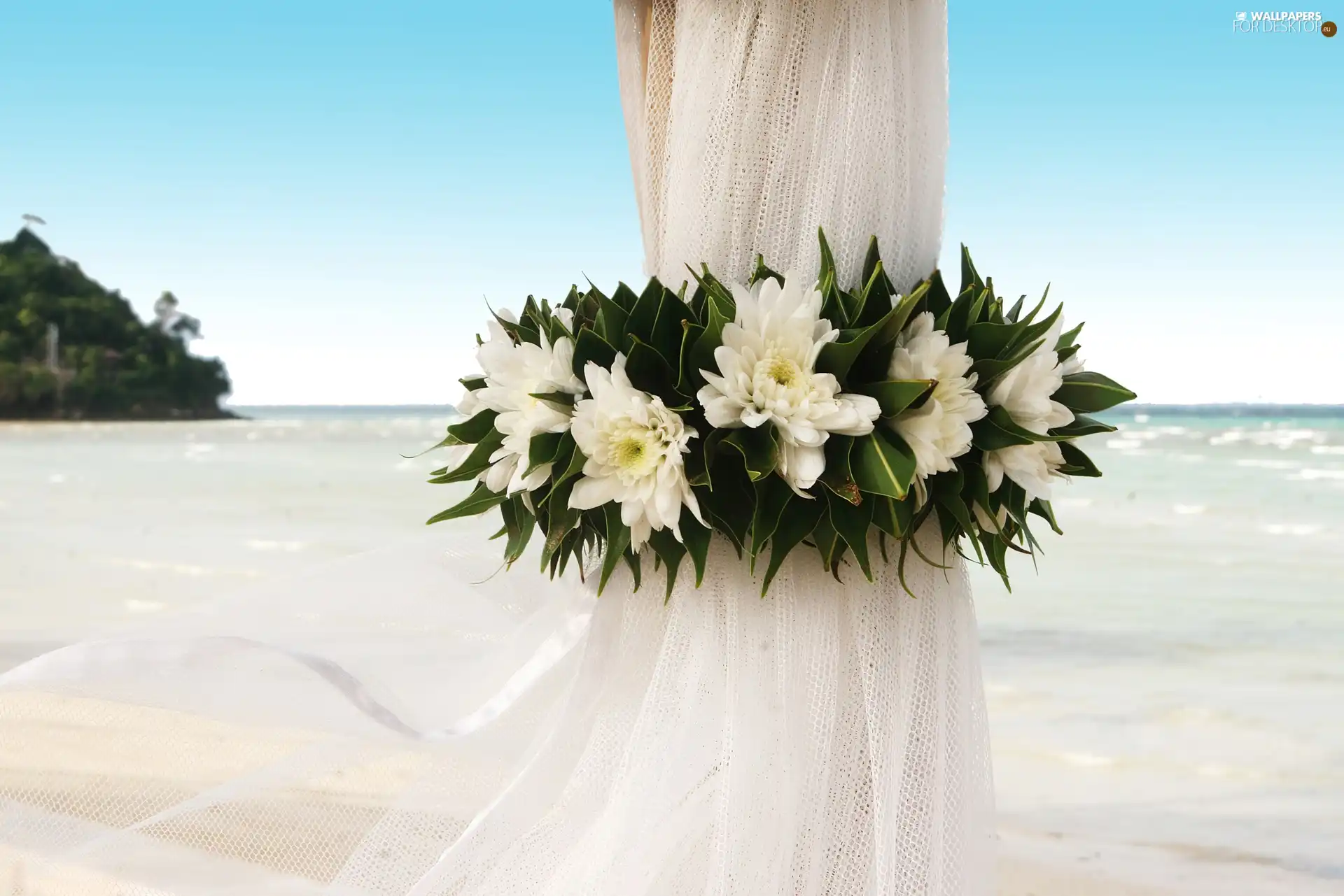 sea, White, Flowers