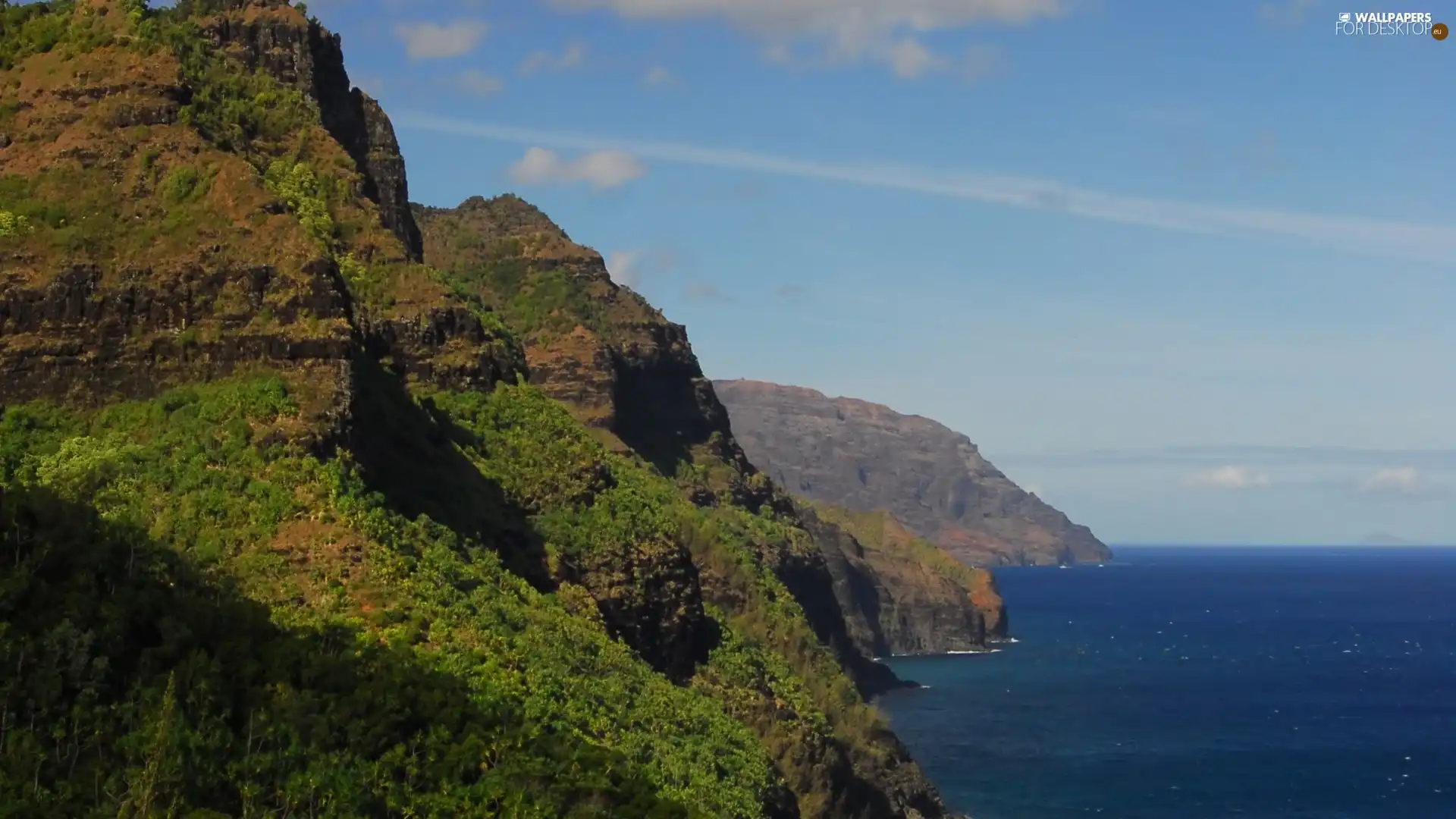 Mountains, Plants, sea, height