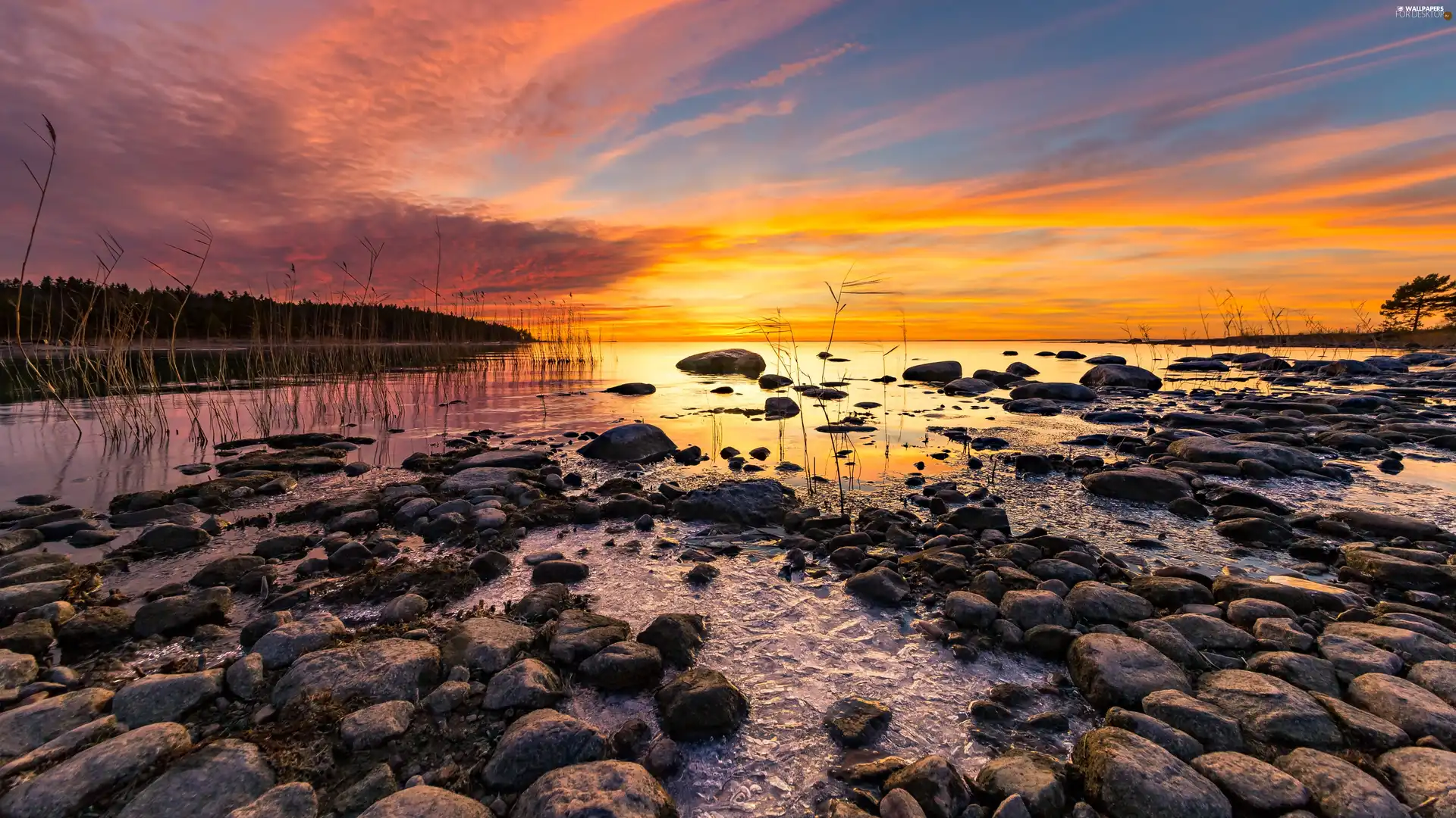 Sunsets, Stones, sea, coast