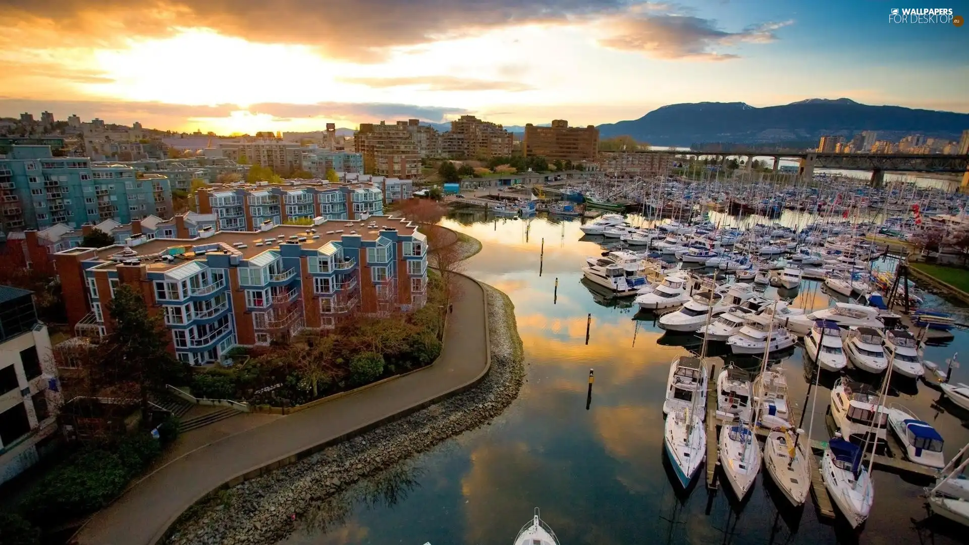 Town, Yachts, sea, port