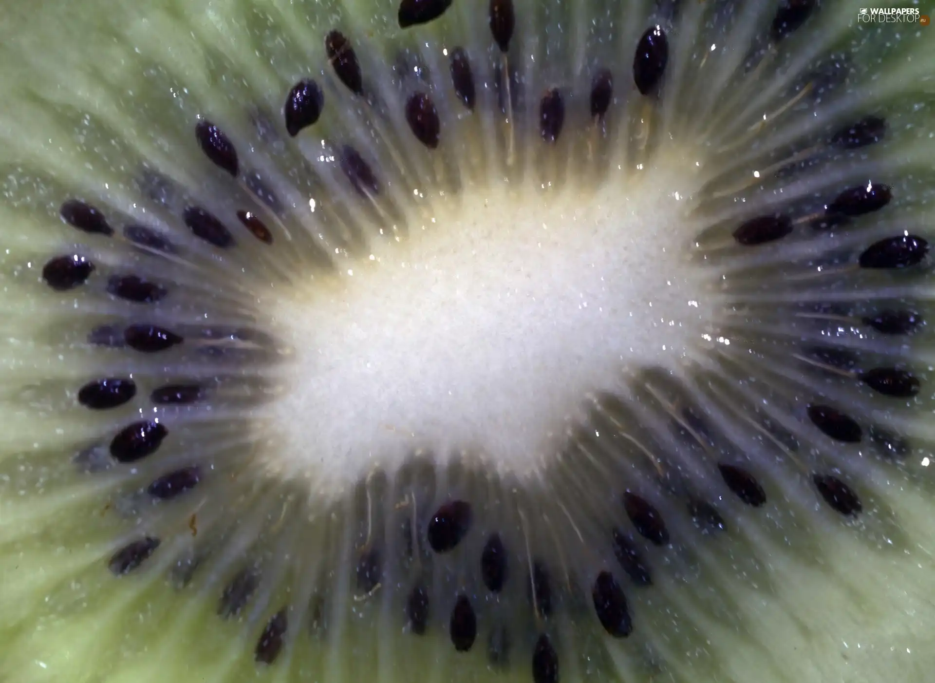 seeds, sectioned, kiwi