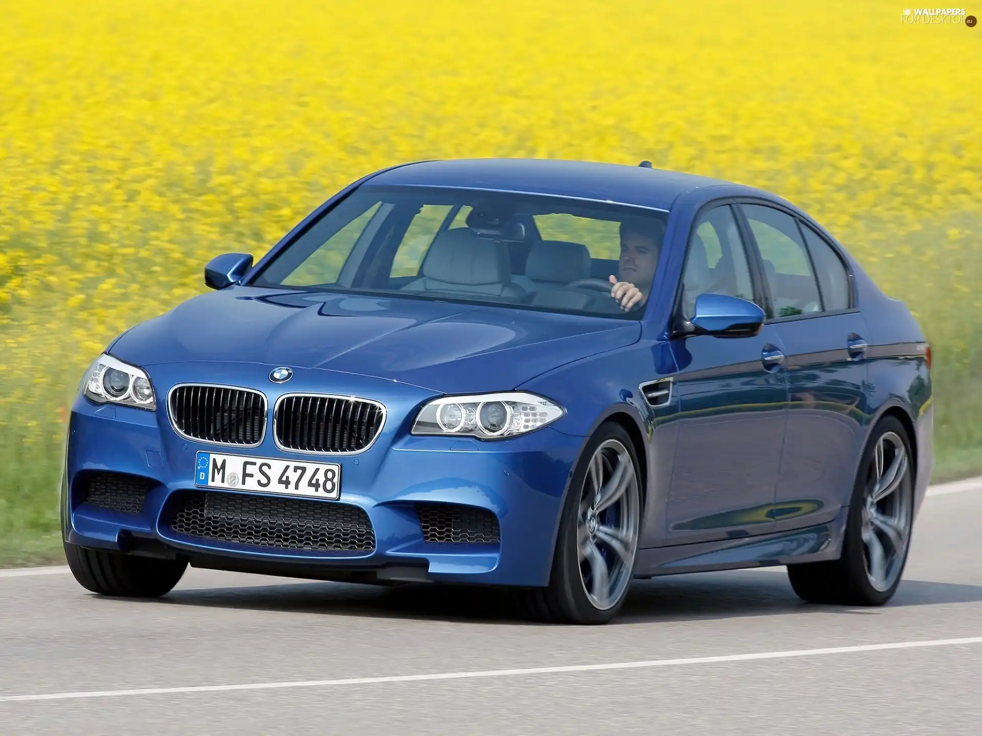 BMW F10, serie 5