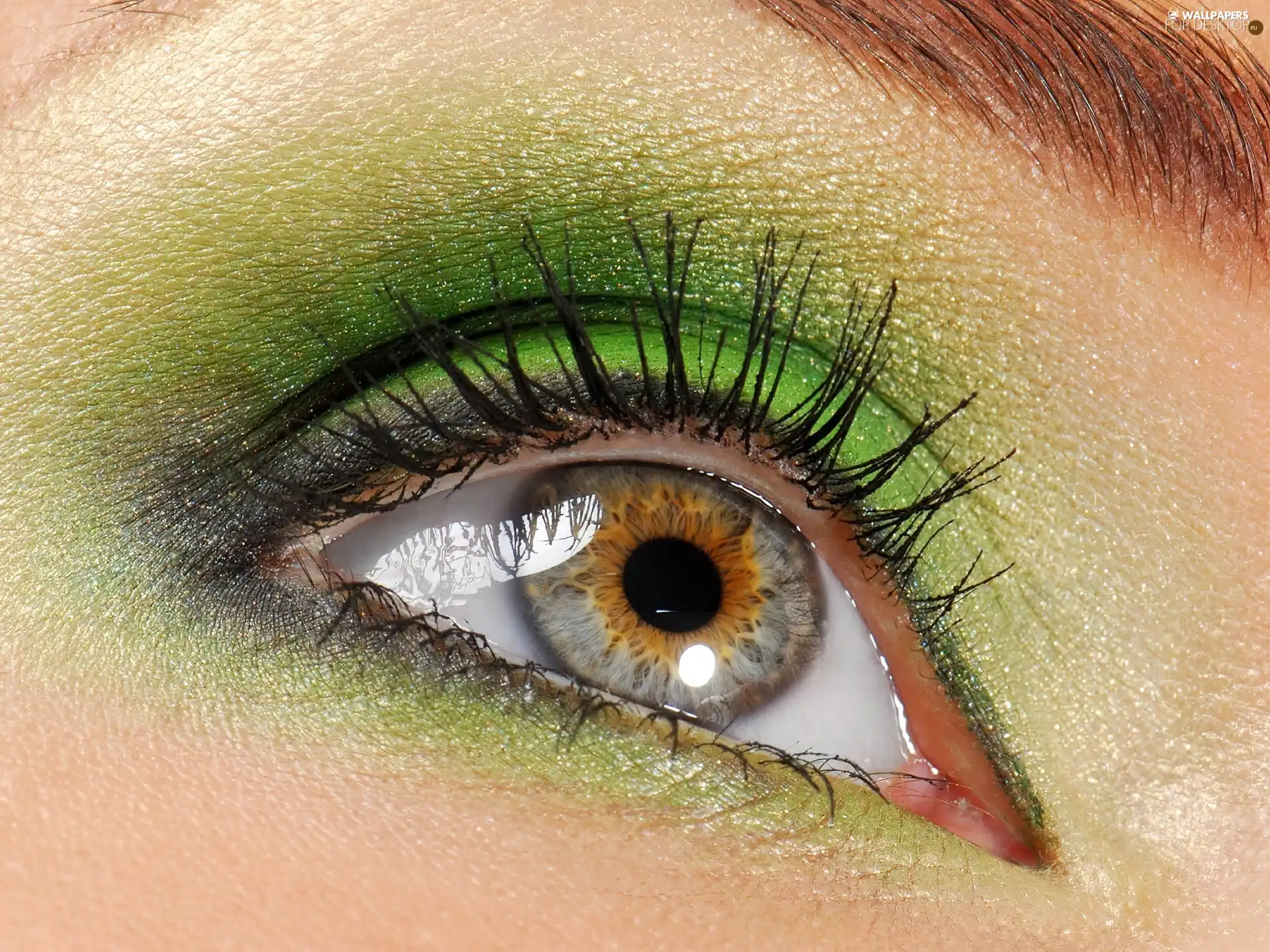 eye, Green, shadow, cilia