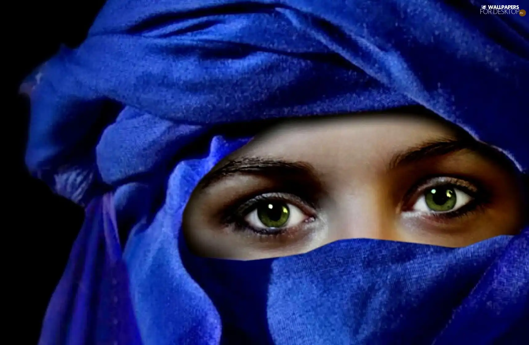 shawl, Women, Blue