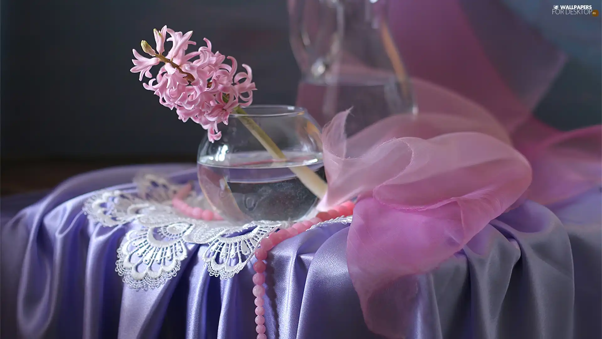 shawl, bowl, hyacinth, lace, Pink