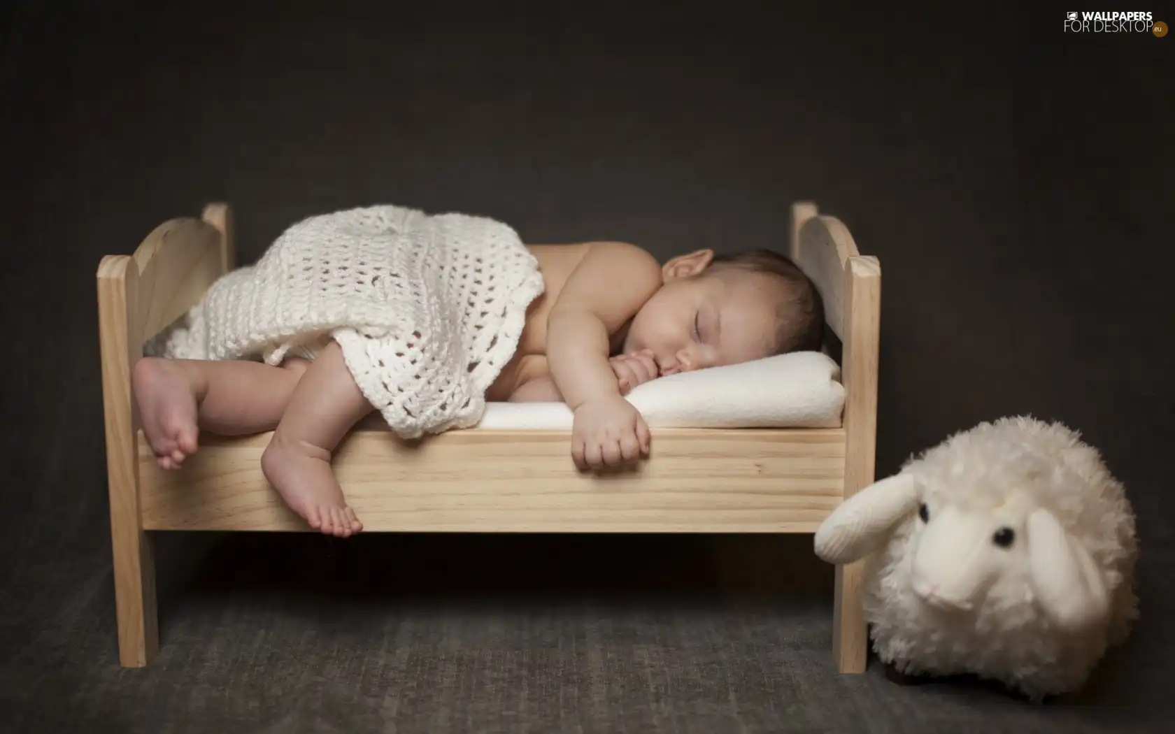 Sleeping, crib, sheep, Kid
