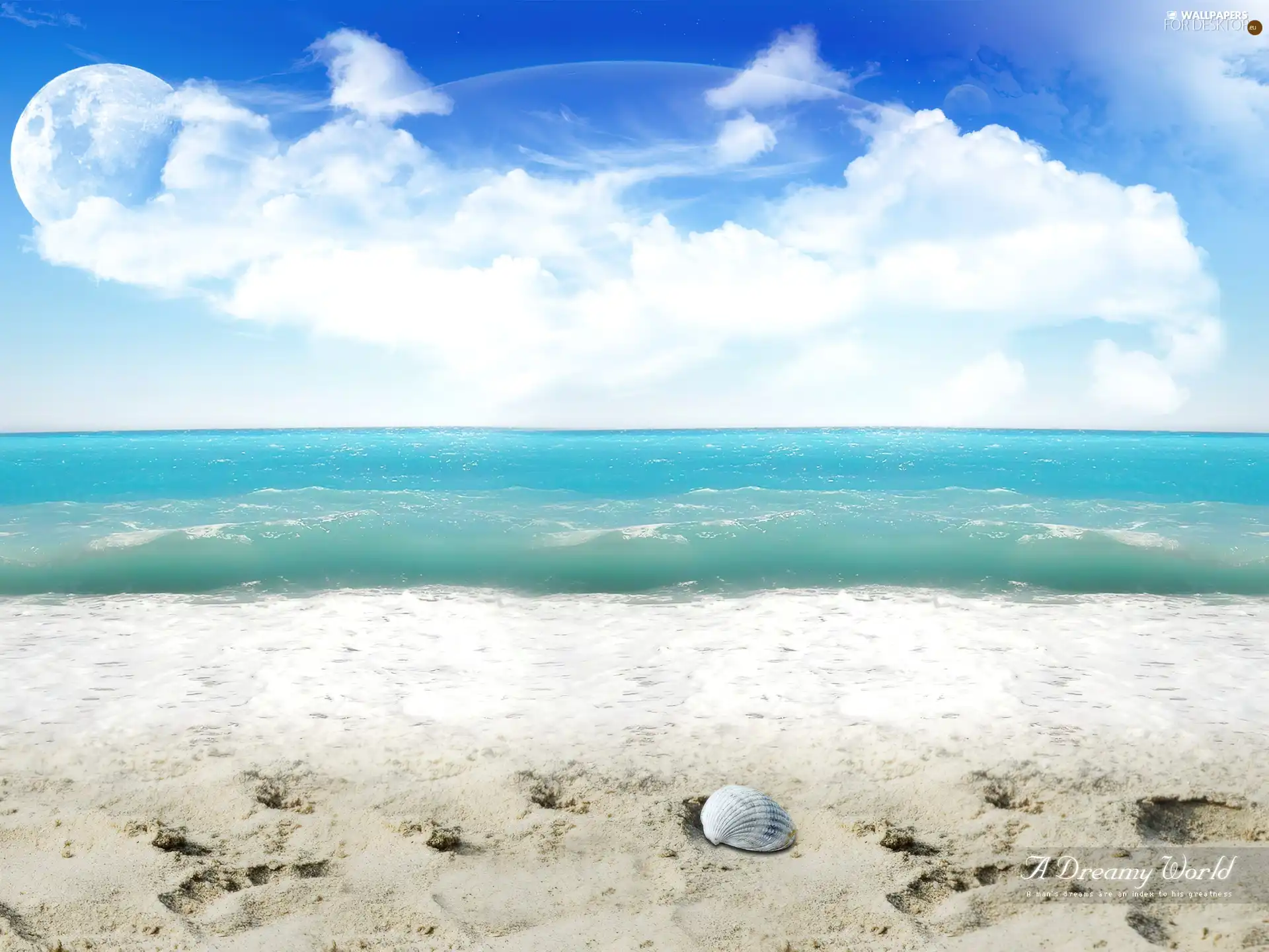 shell, sea, Beaches