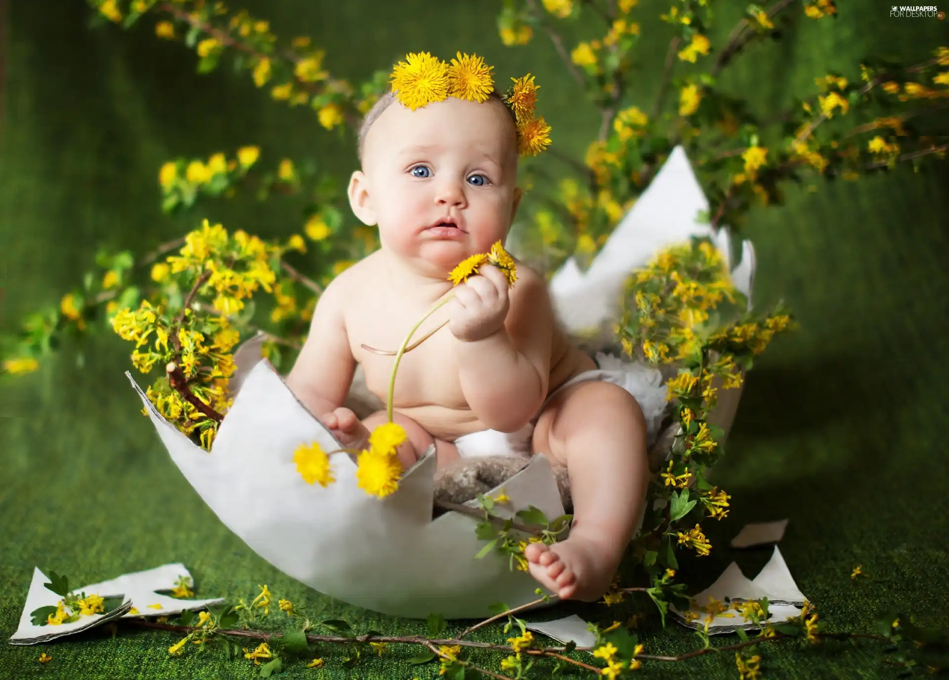 shell, girl, Flowers