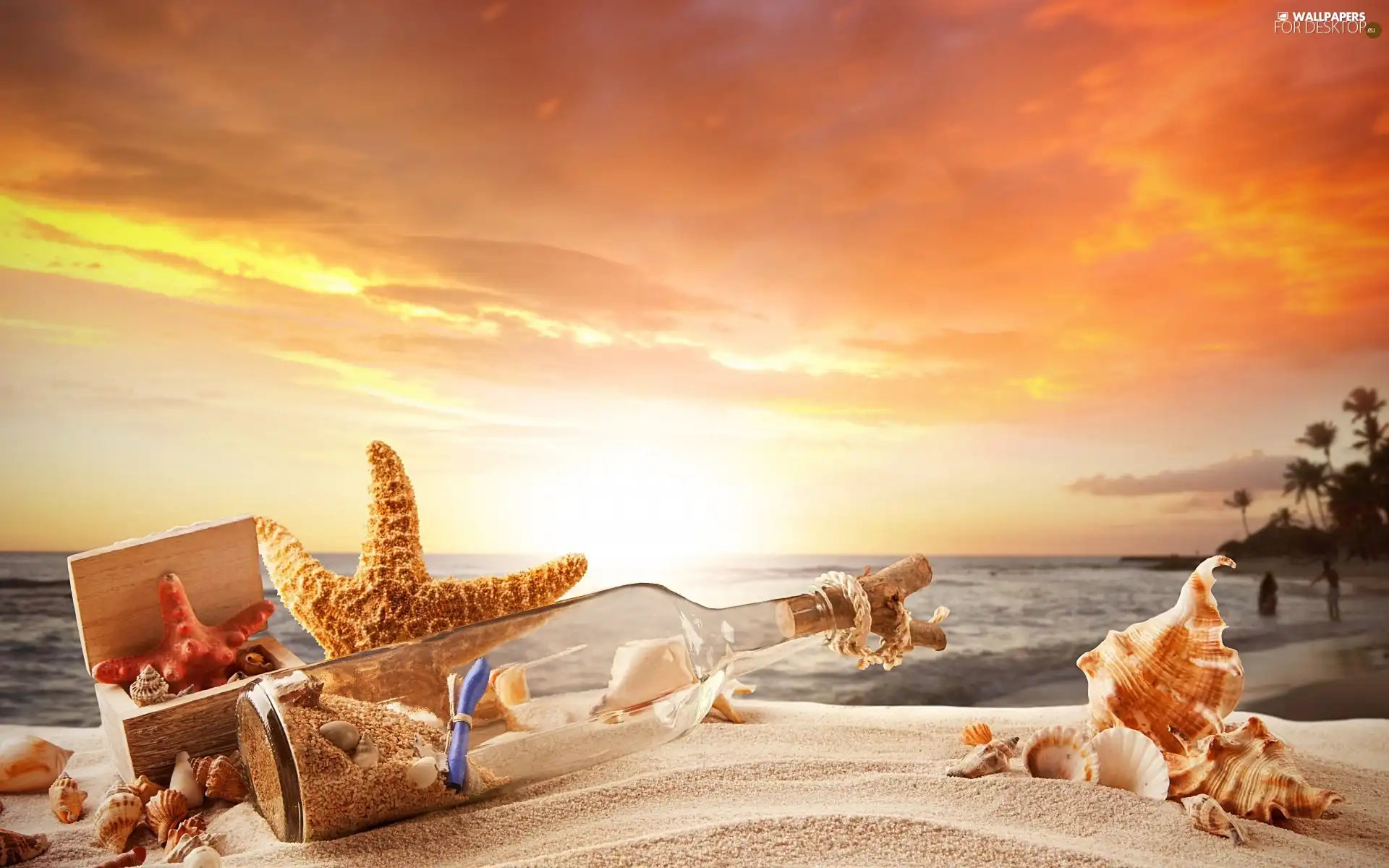 Shells, Bottle, Beaches, Great Sunsets, sea, starfish