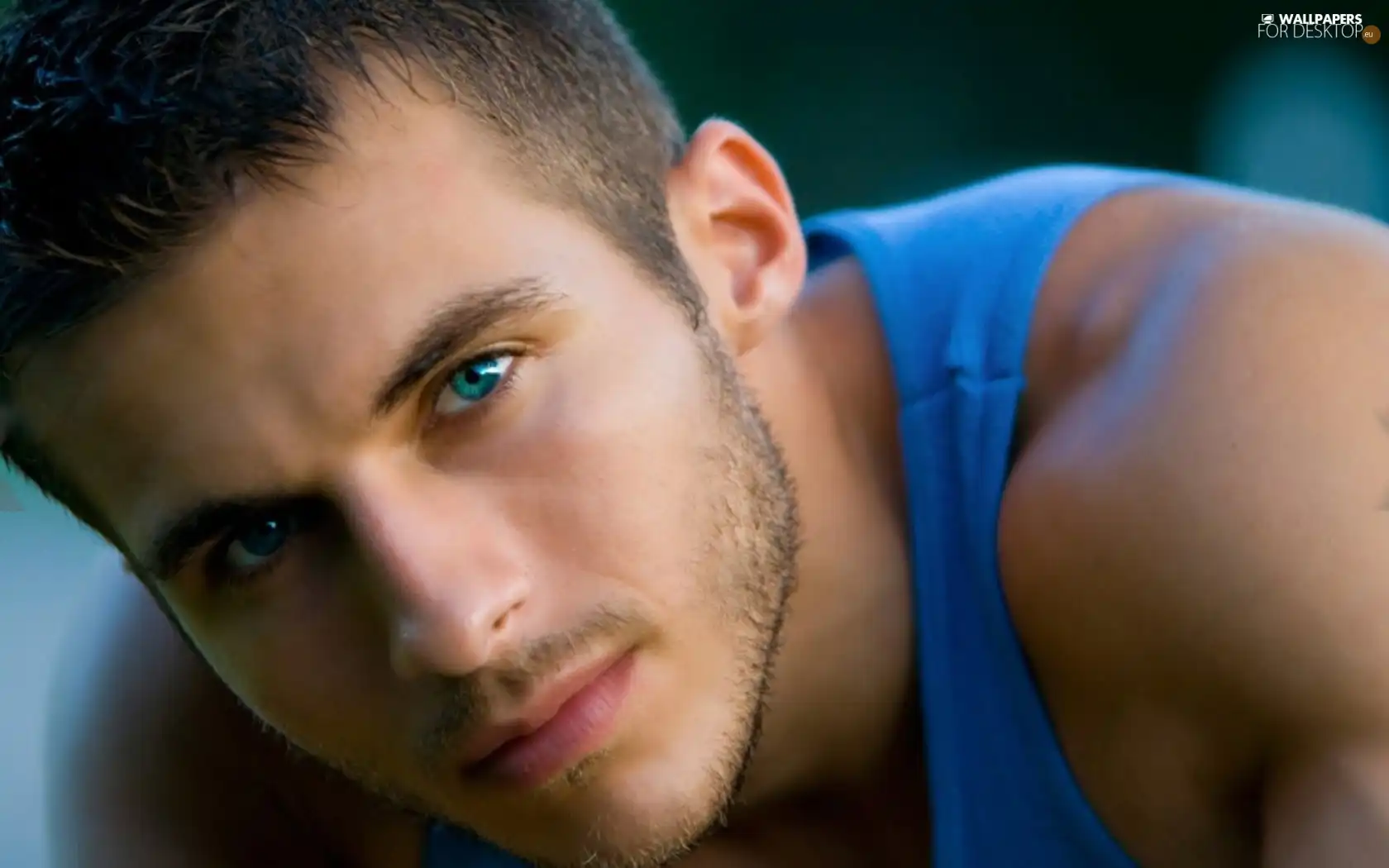 a man, Blue, Shirt, Eyes