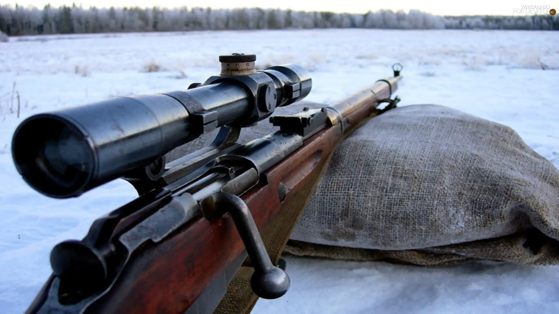 gun, position, shooting, telescope