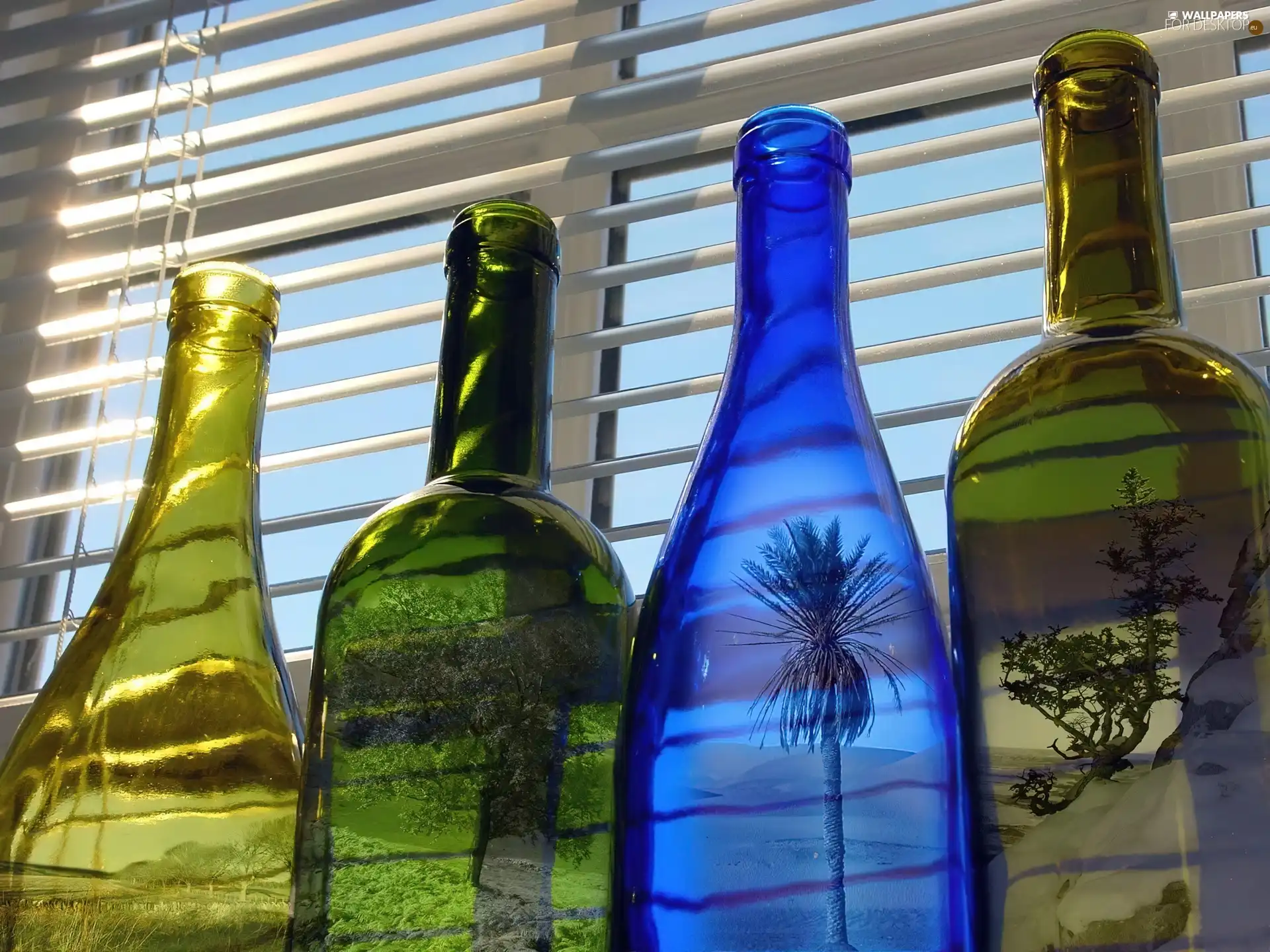 Shutters, glass, Bottles