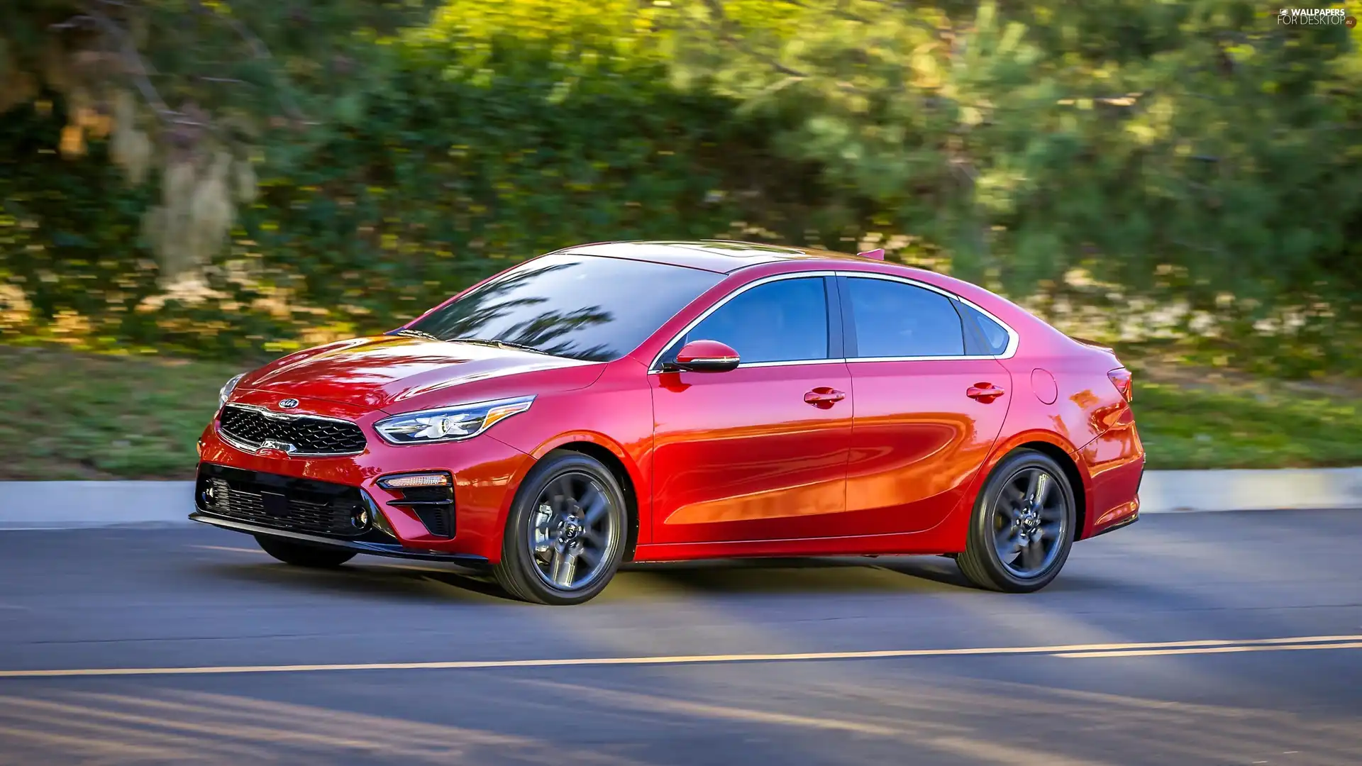 red hot, 2019, side, Kia Forte - For desktop wallpapers: 2560x1440
