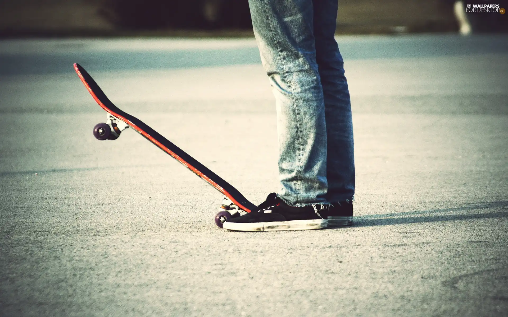 skate, legs, Boots