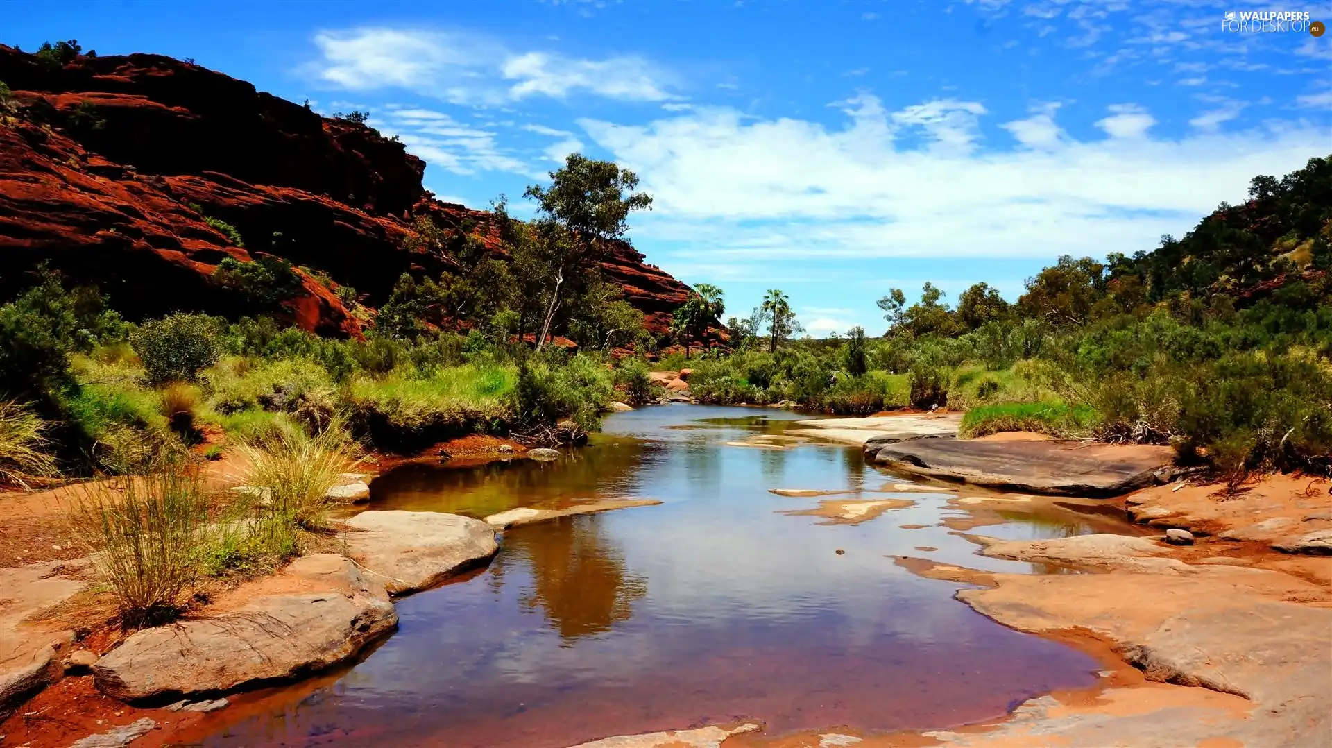 Red, stream, Skrub, rocks