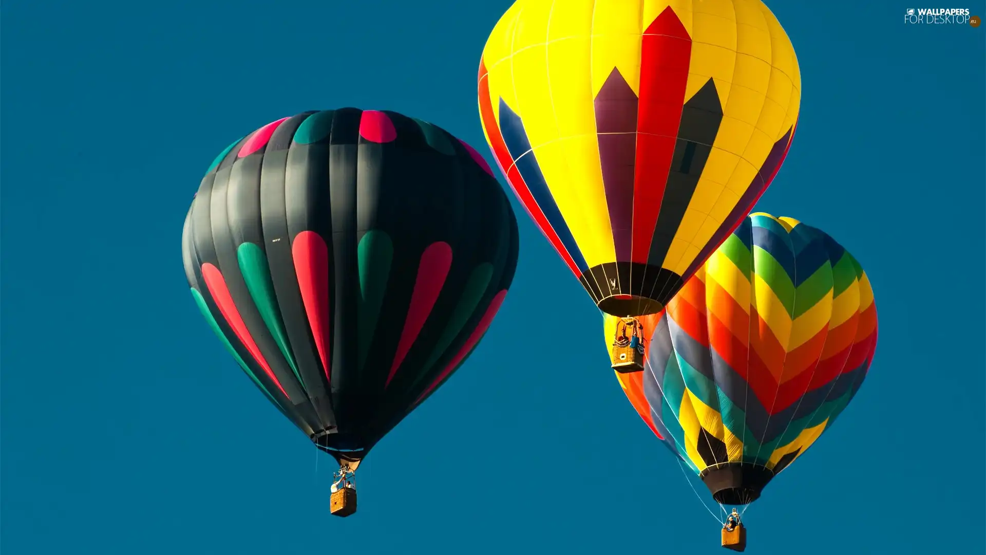 Sky, color, Balloons