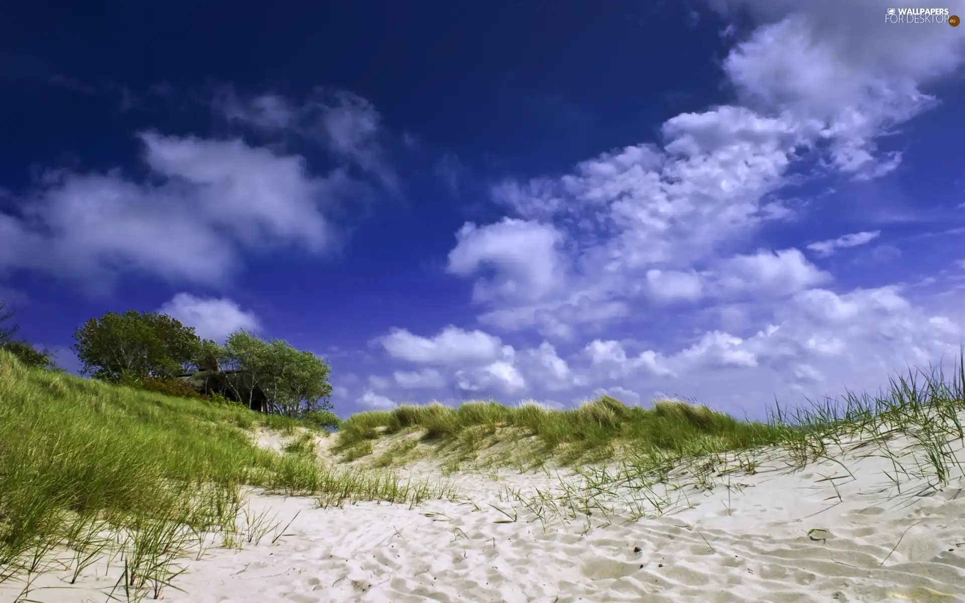 Beaches, Dunes, Sky, Sand