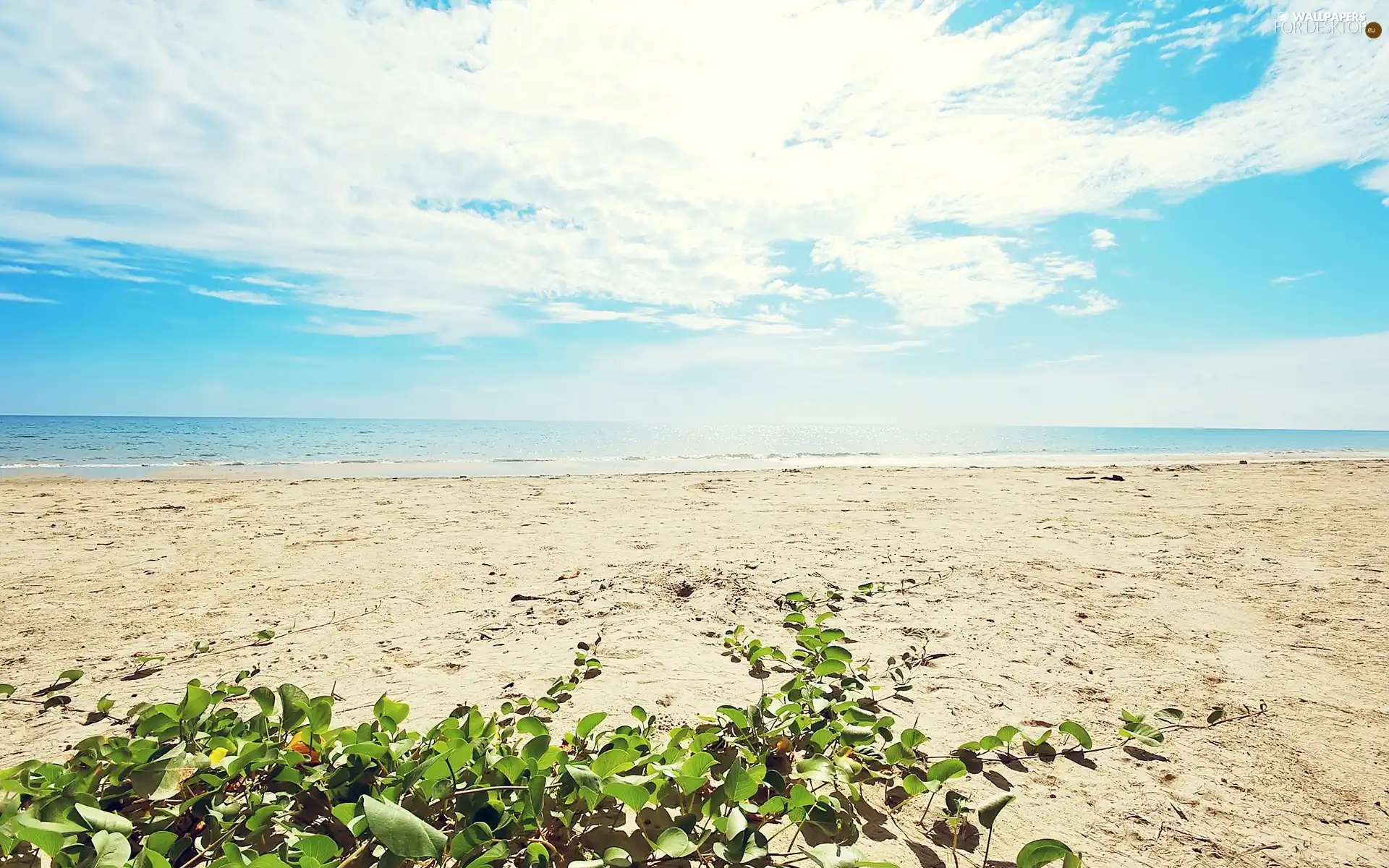 Sky, sea, Beaches