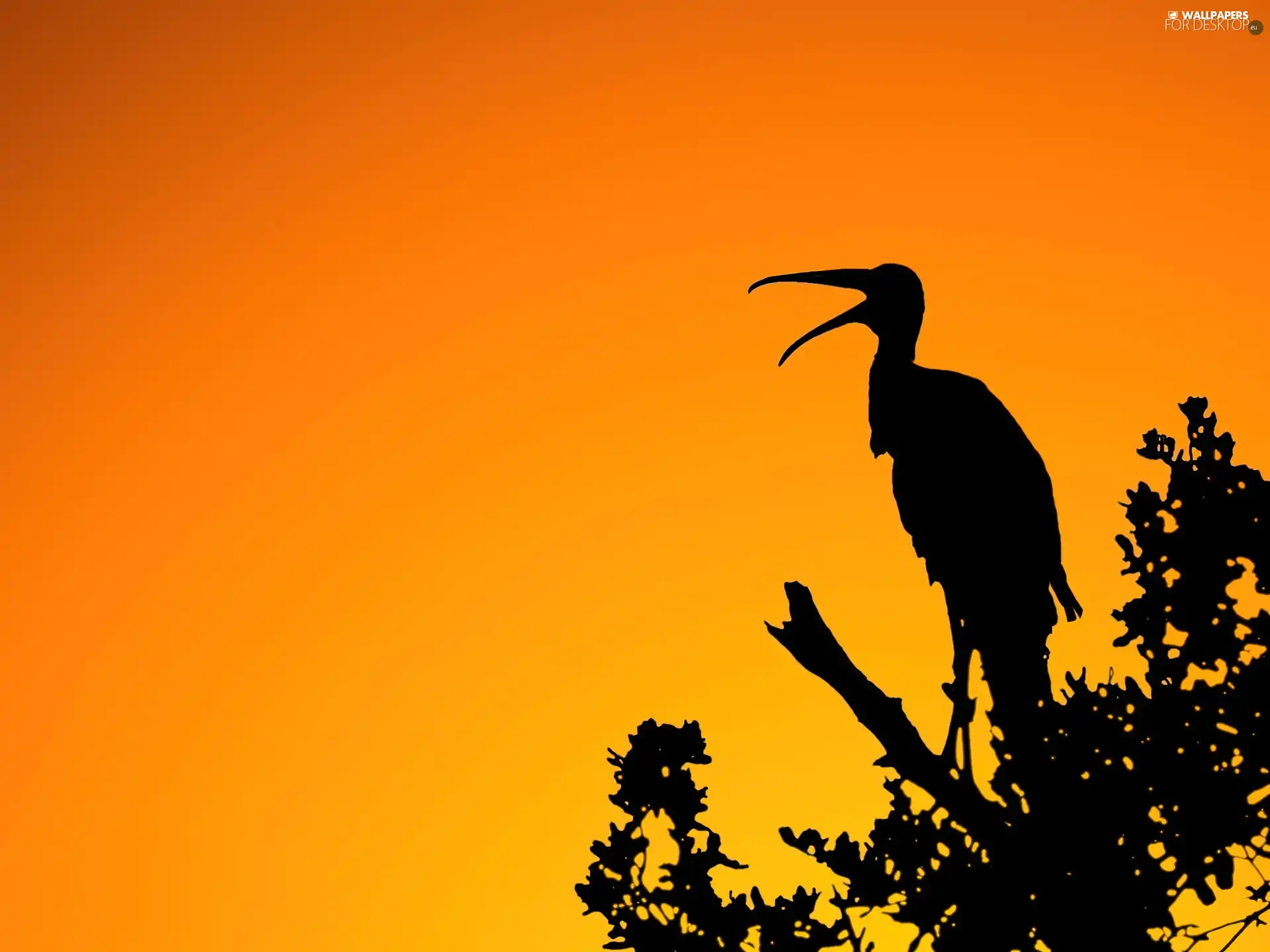 Bird, Orange, Sky, trees