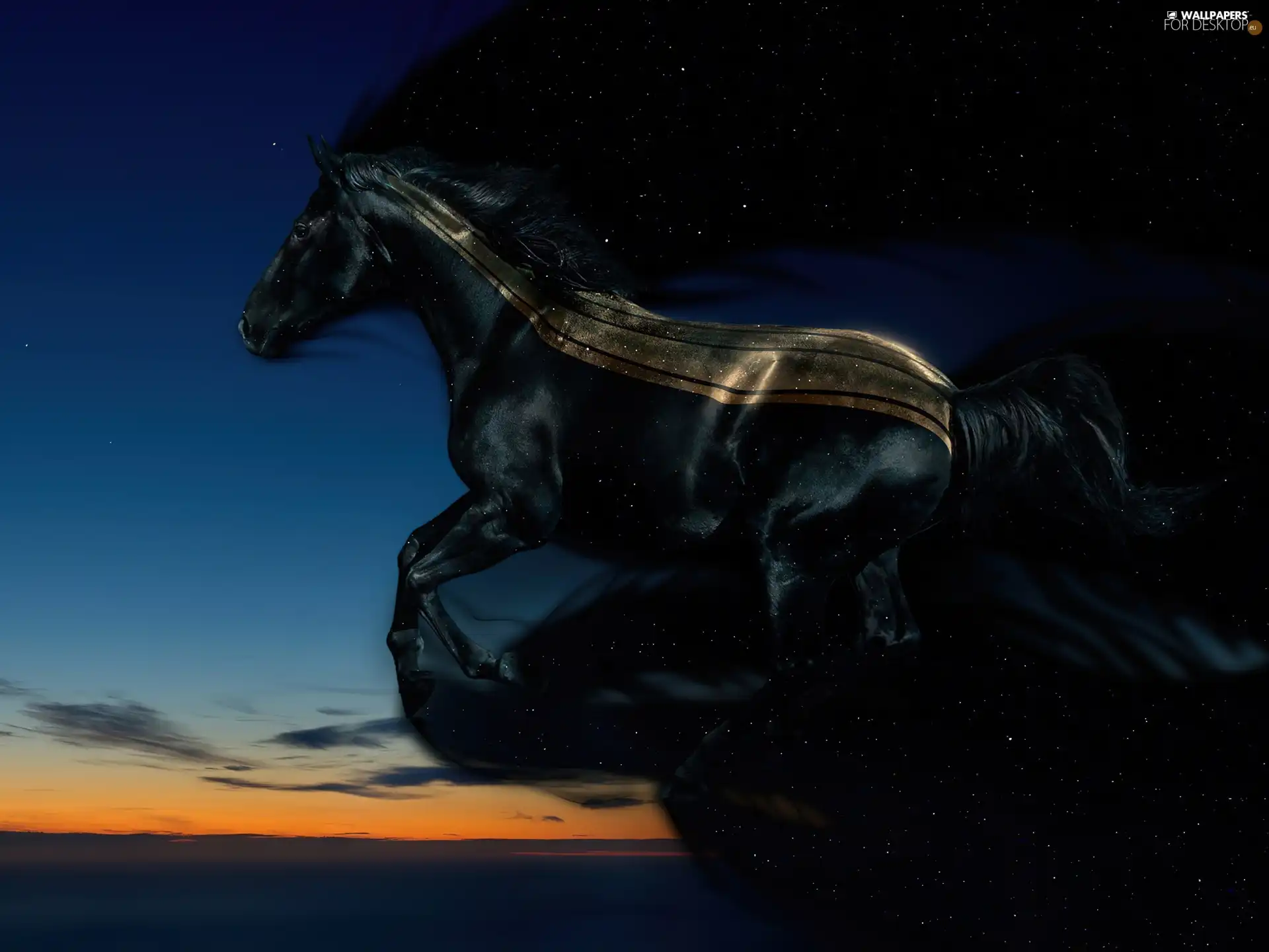 Black, Sky