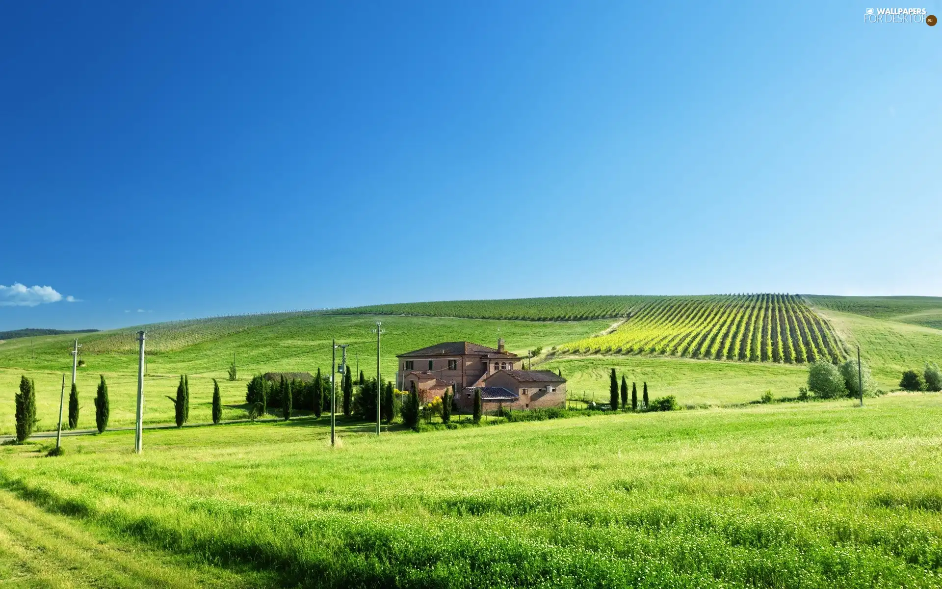 Sky, house, field