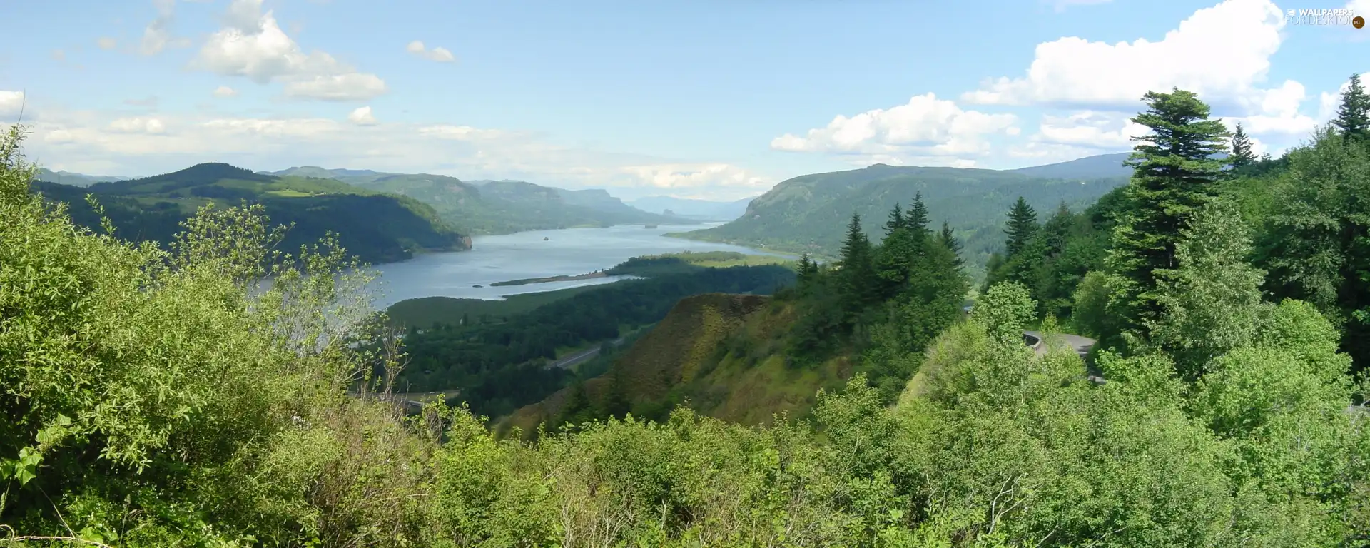 forest, Mountains, Sky, River