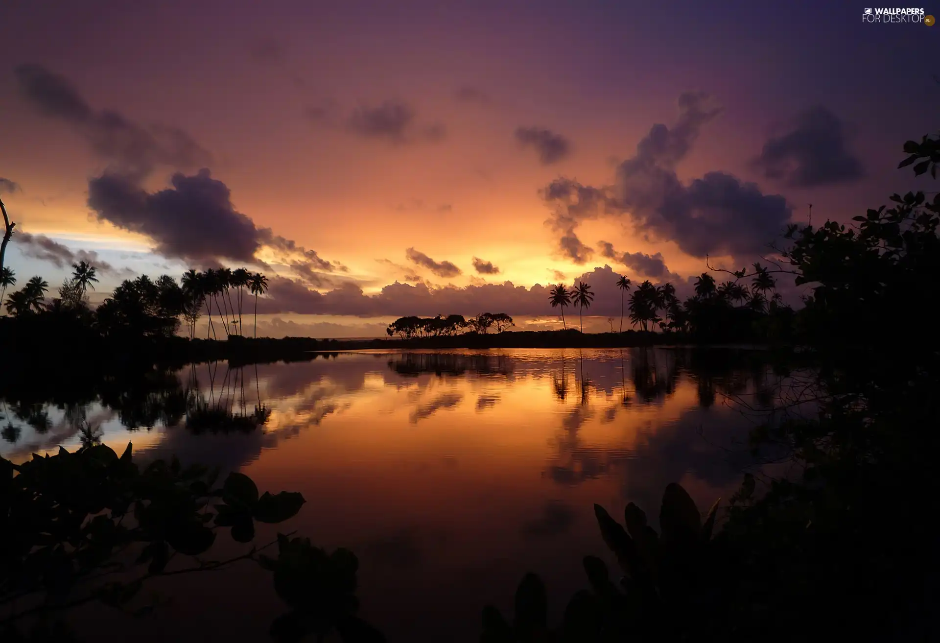 sea, Great Sunsets, Sky