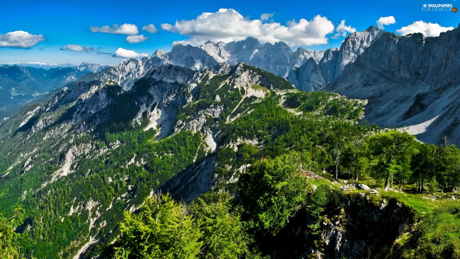 Mountains, blue, Sky, forest