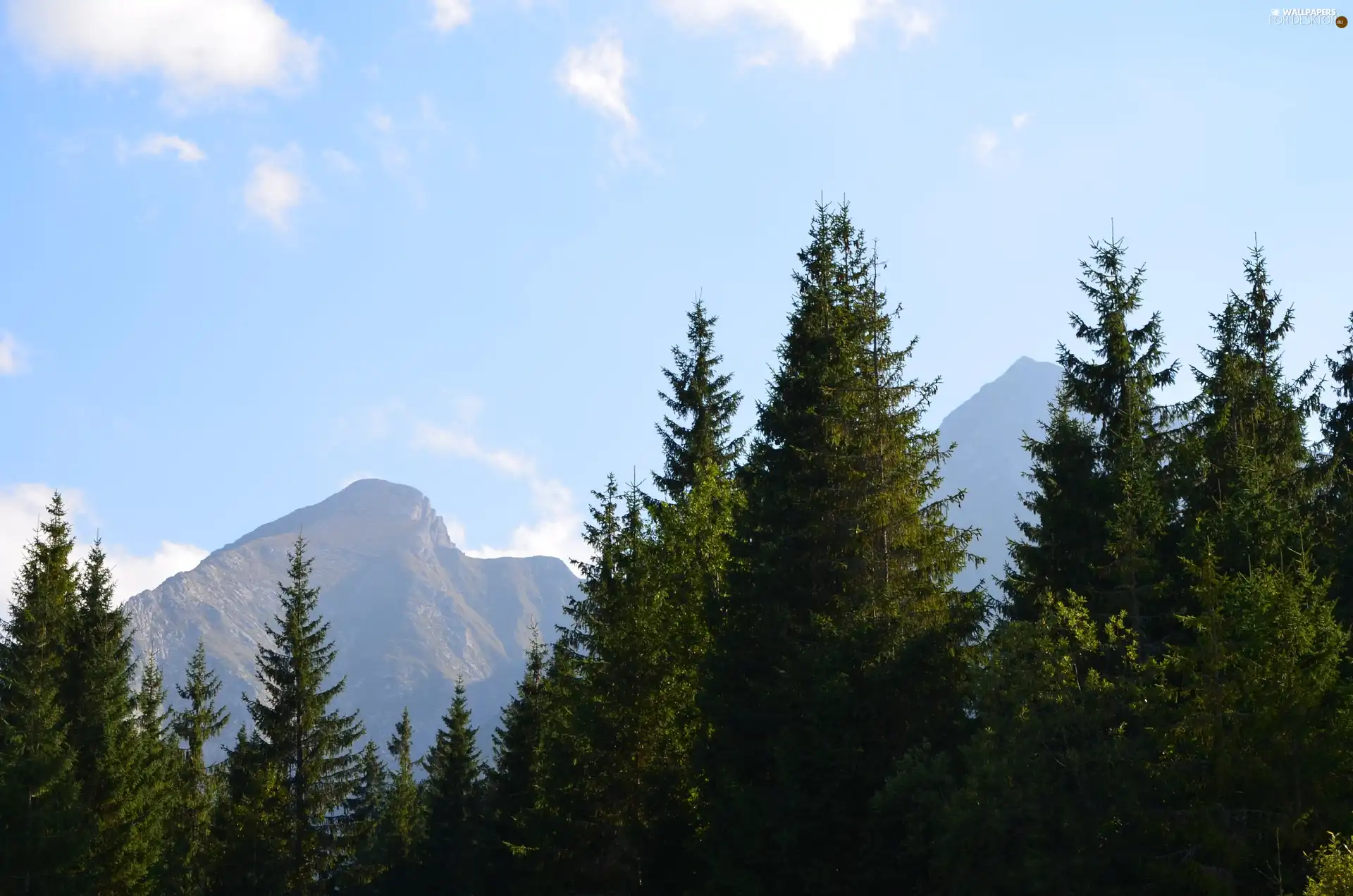 trees, Mountains, Sky, viewes