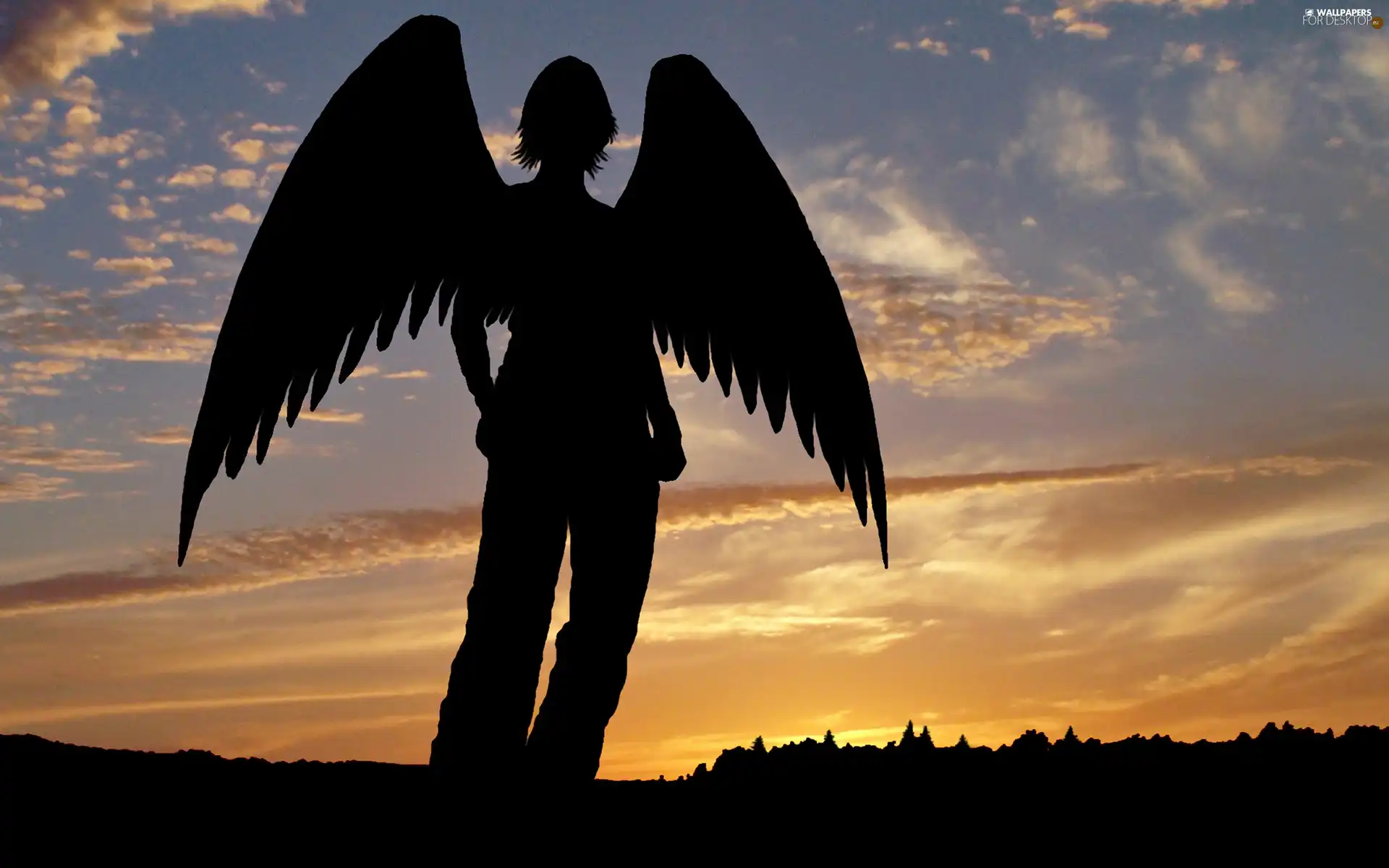 Sky, angel, wings