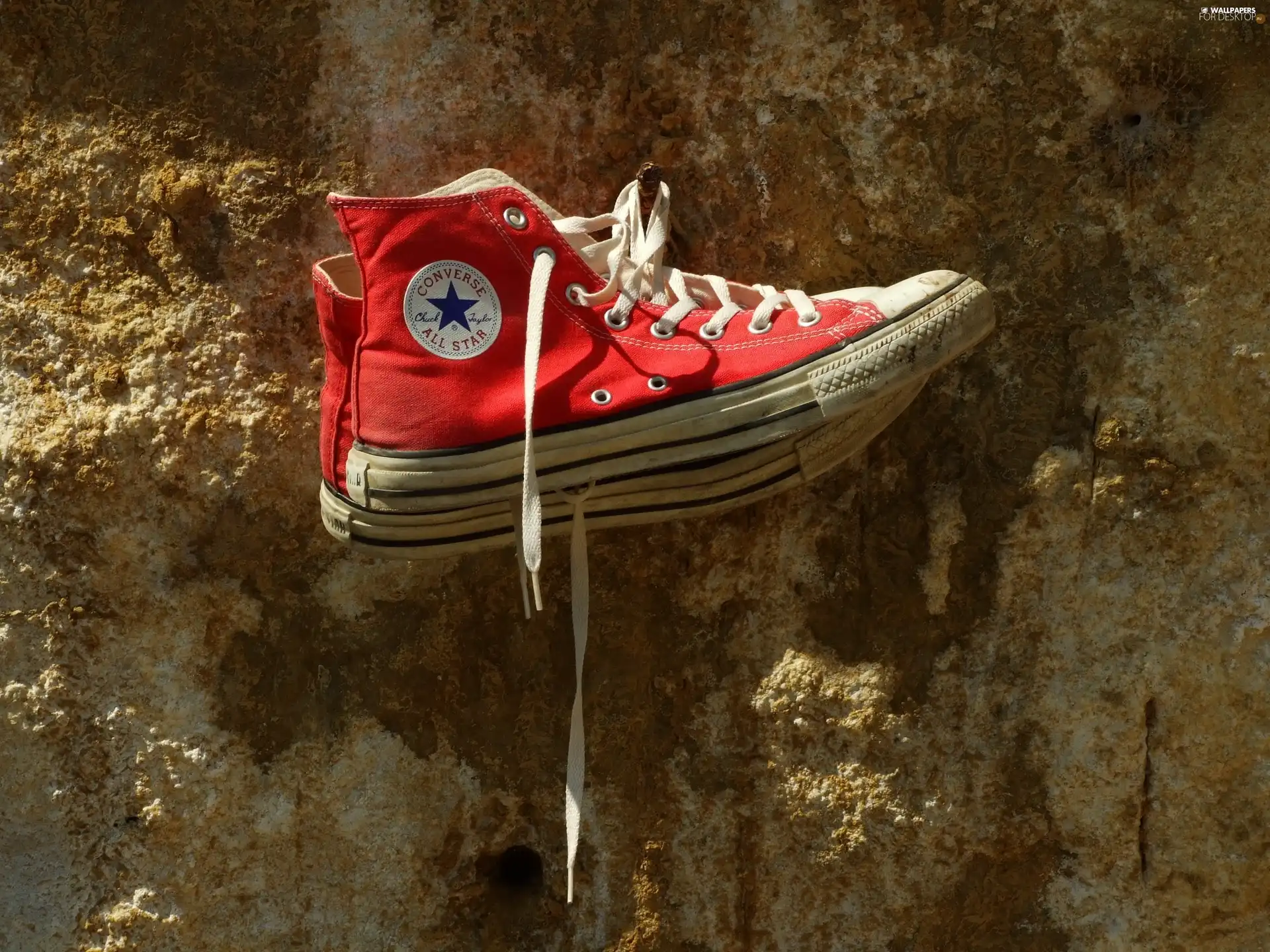 sneakers, rocks, hanging