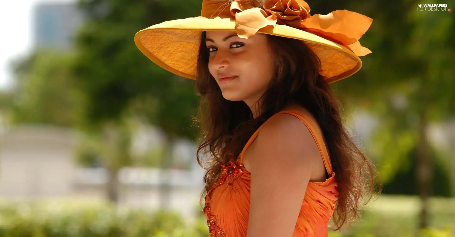 Sneha Ullal, Hat