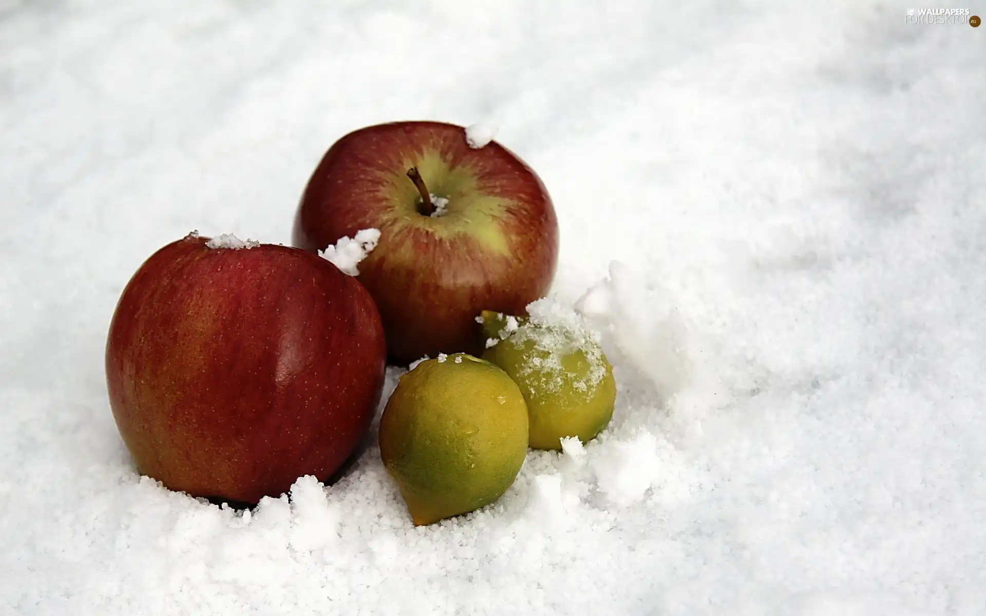 snow, apples, Amaranth