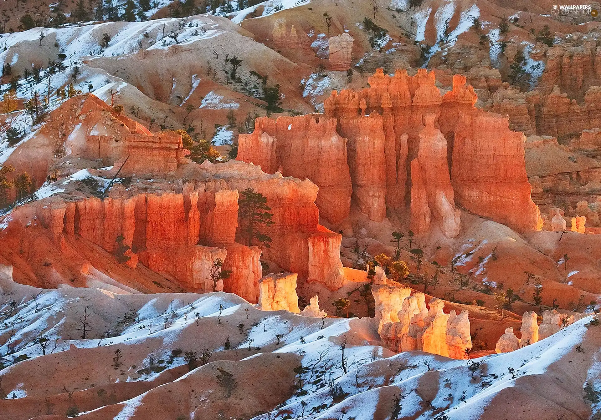 canyon, snow