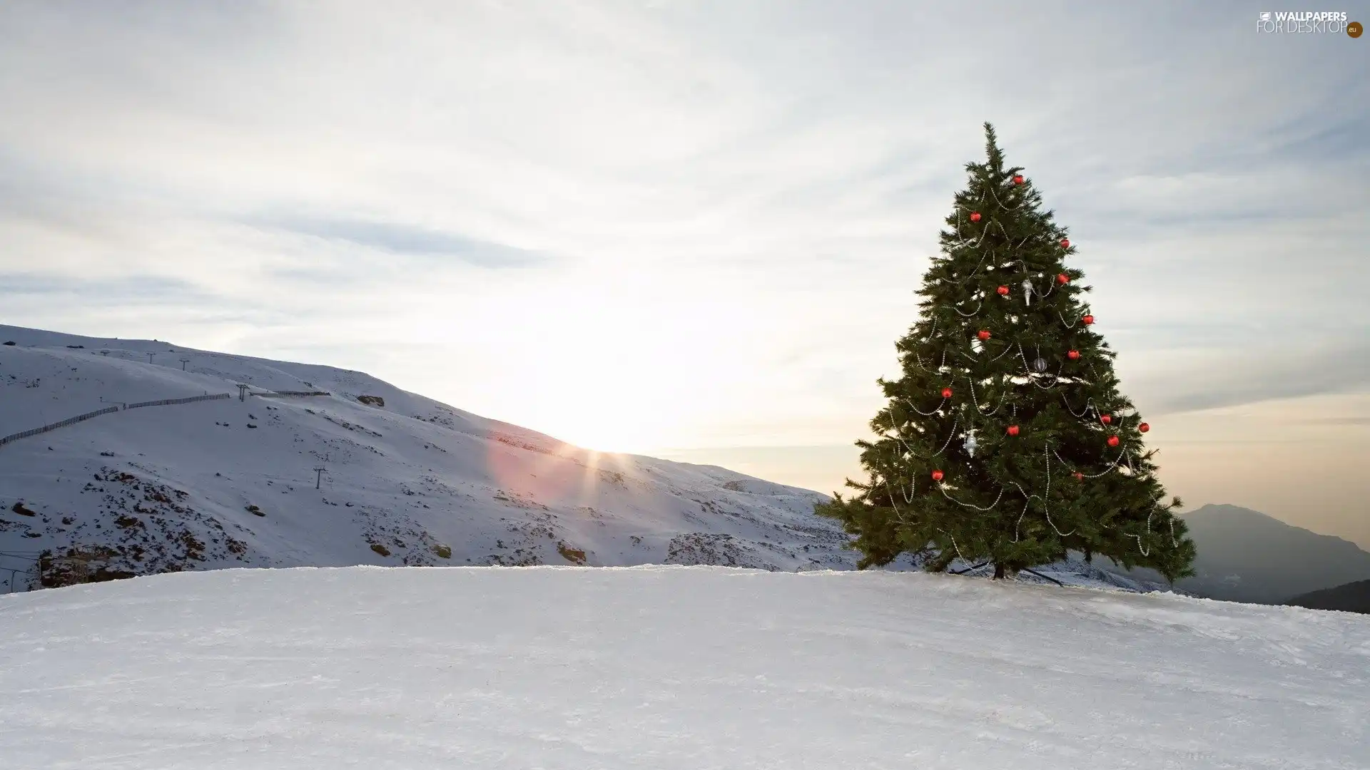 mountains, christmas tree, snow