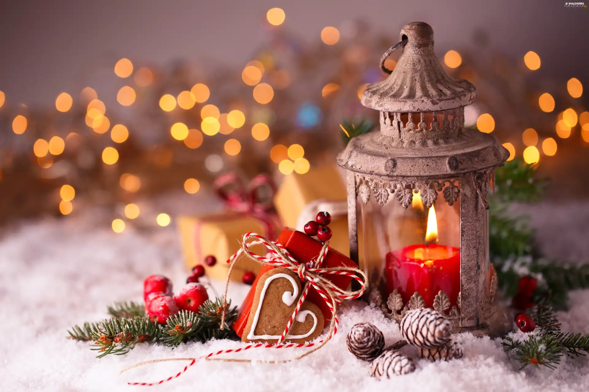 cones, lantern, snow, composition, Gingerbread, Candle