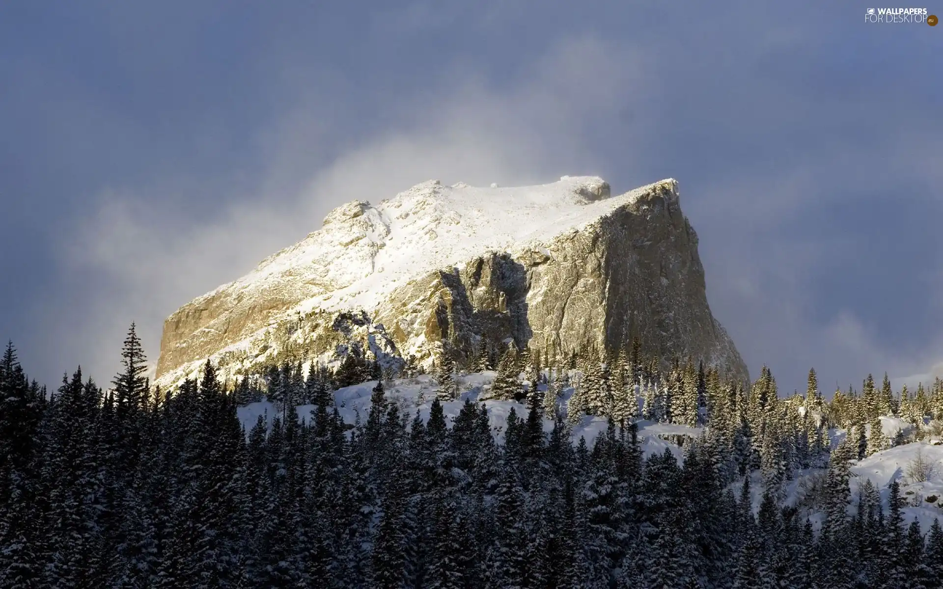 snow, Mountains, forest