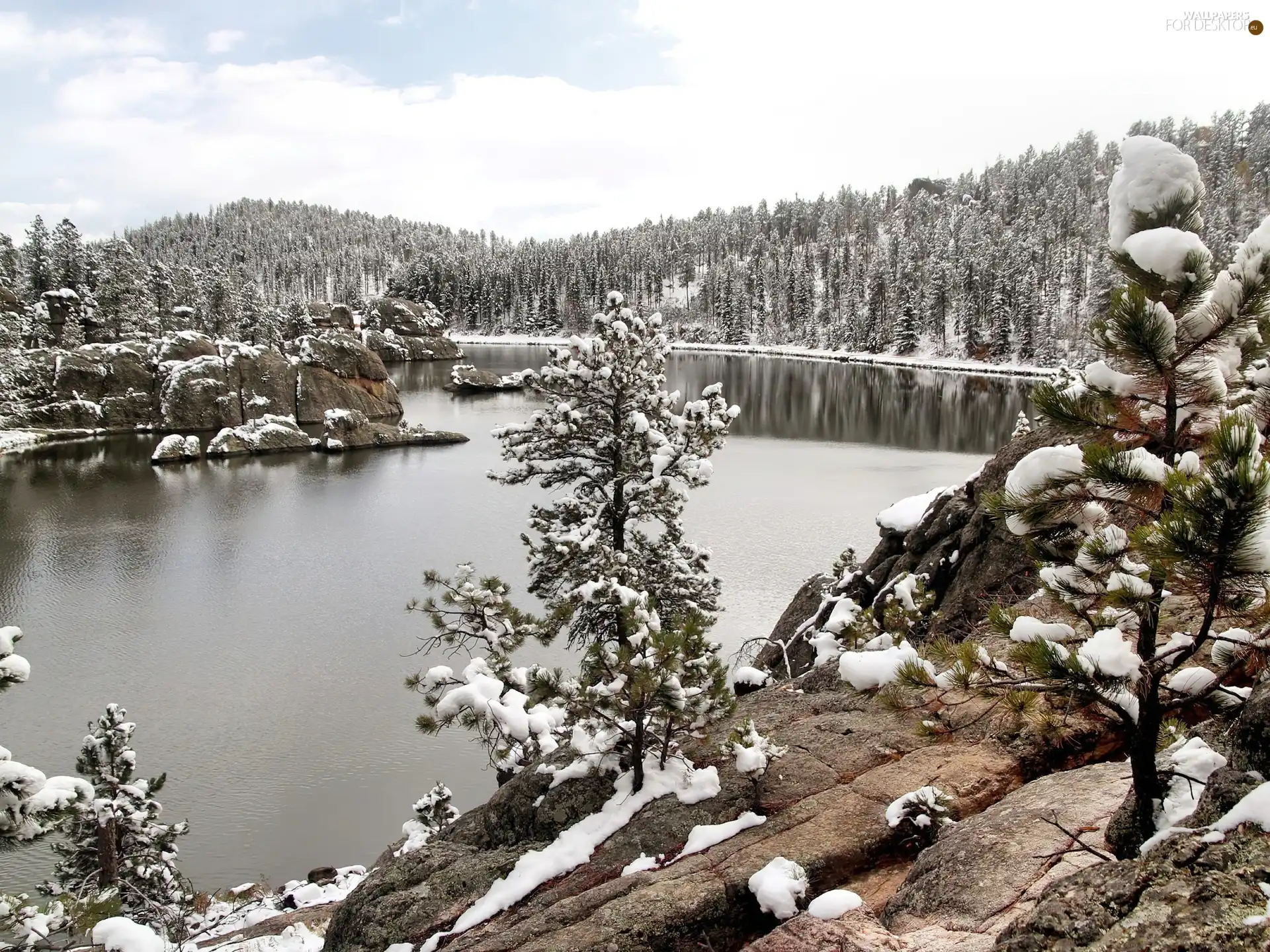 lake, viewes, snow, trees