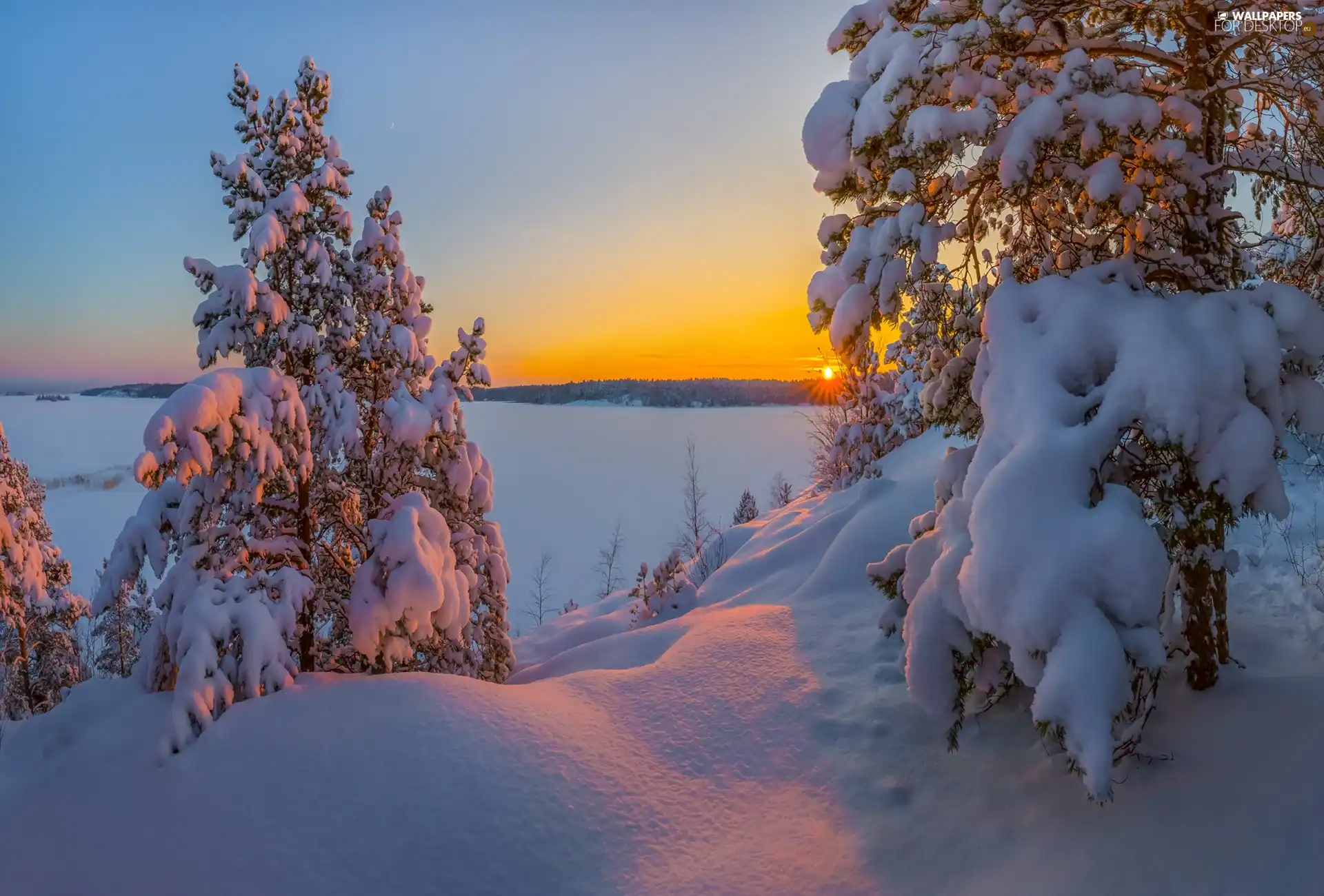 Snowy, winter, viewes, snow, trees, Sunrise