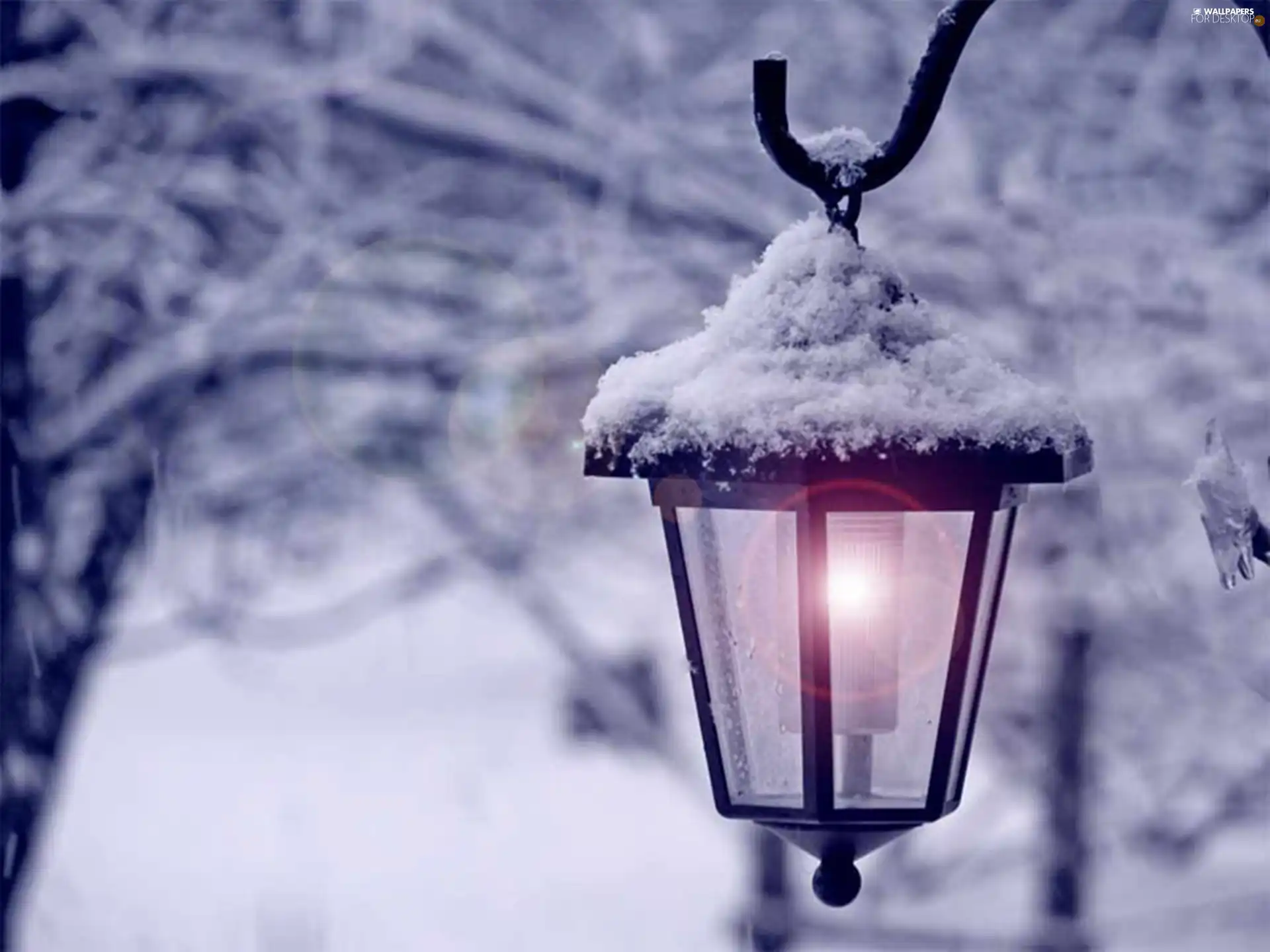 snow, Lamp, winter